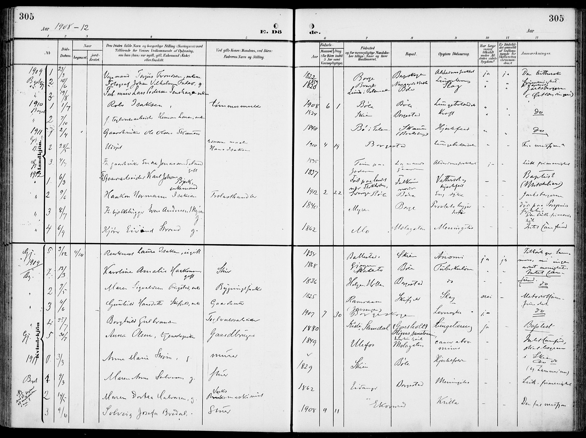 Gjerpen kirkebøker, SAKO/A-265/F/Fa/L0012: Parish register (official) no. I 12, 1905-1913, p. 305