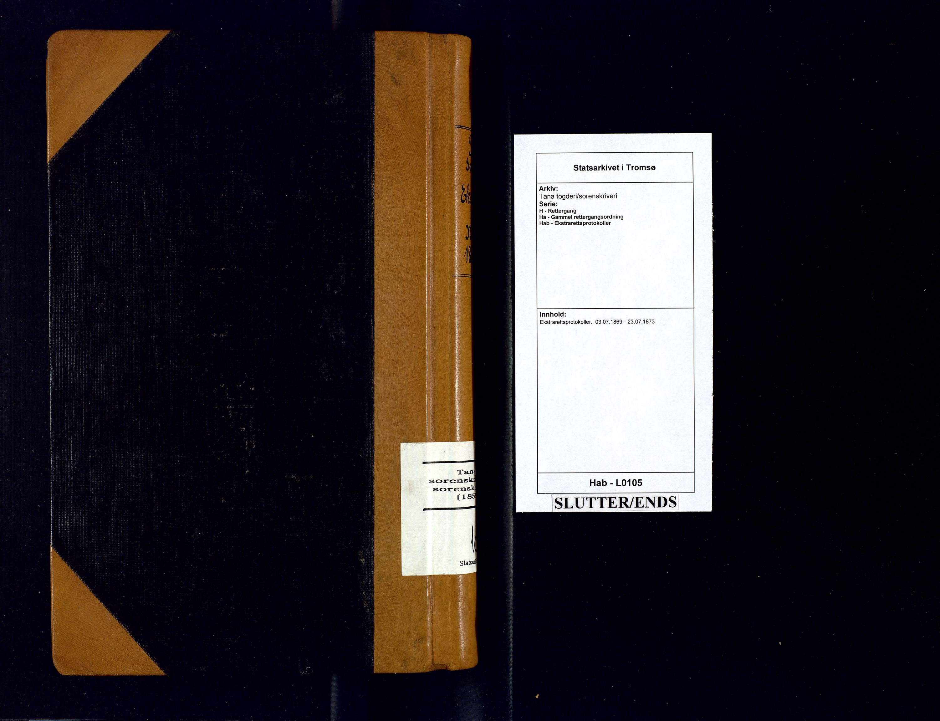 Tana fogderi/sorenskriveri, AV/SATØ-S-0058/H/Ha/Hab/L0105: Ekstrarettsprotokoller., 1869-1873