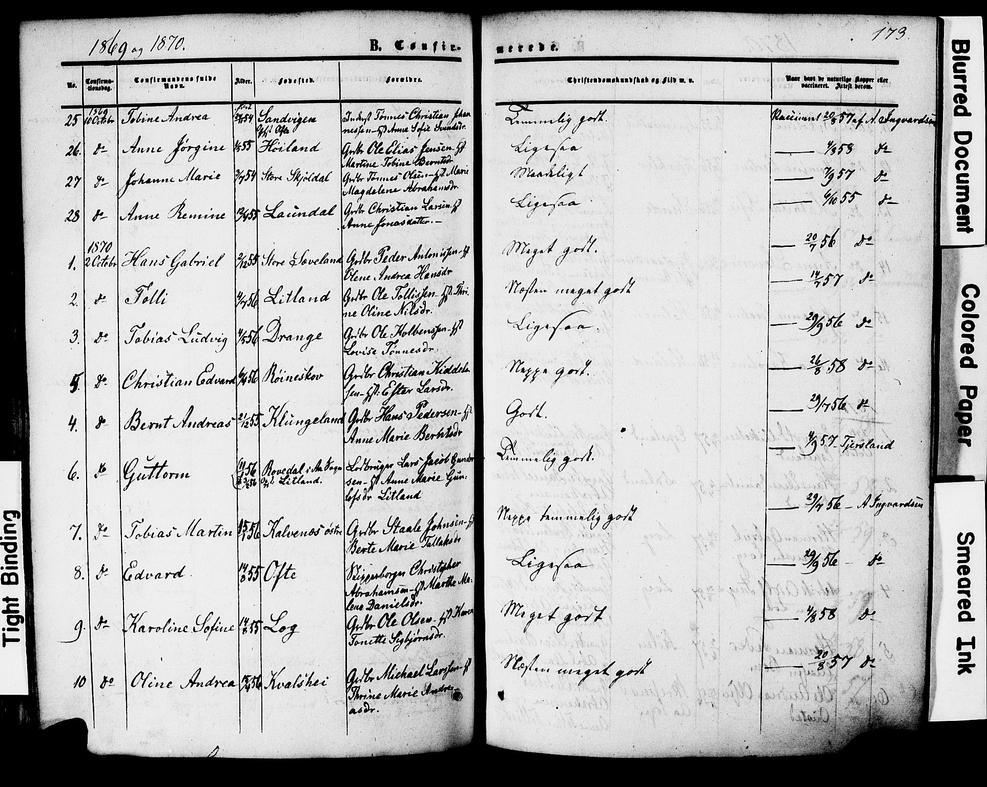 Herad sokneprestkontor, SAK/1111-0018/F/Fa/Faa/L0005: Parish register (official) no. A 5, 1853-1886, p. 173