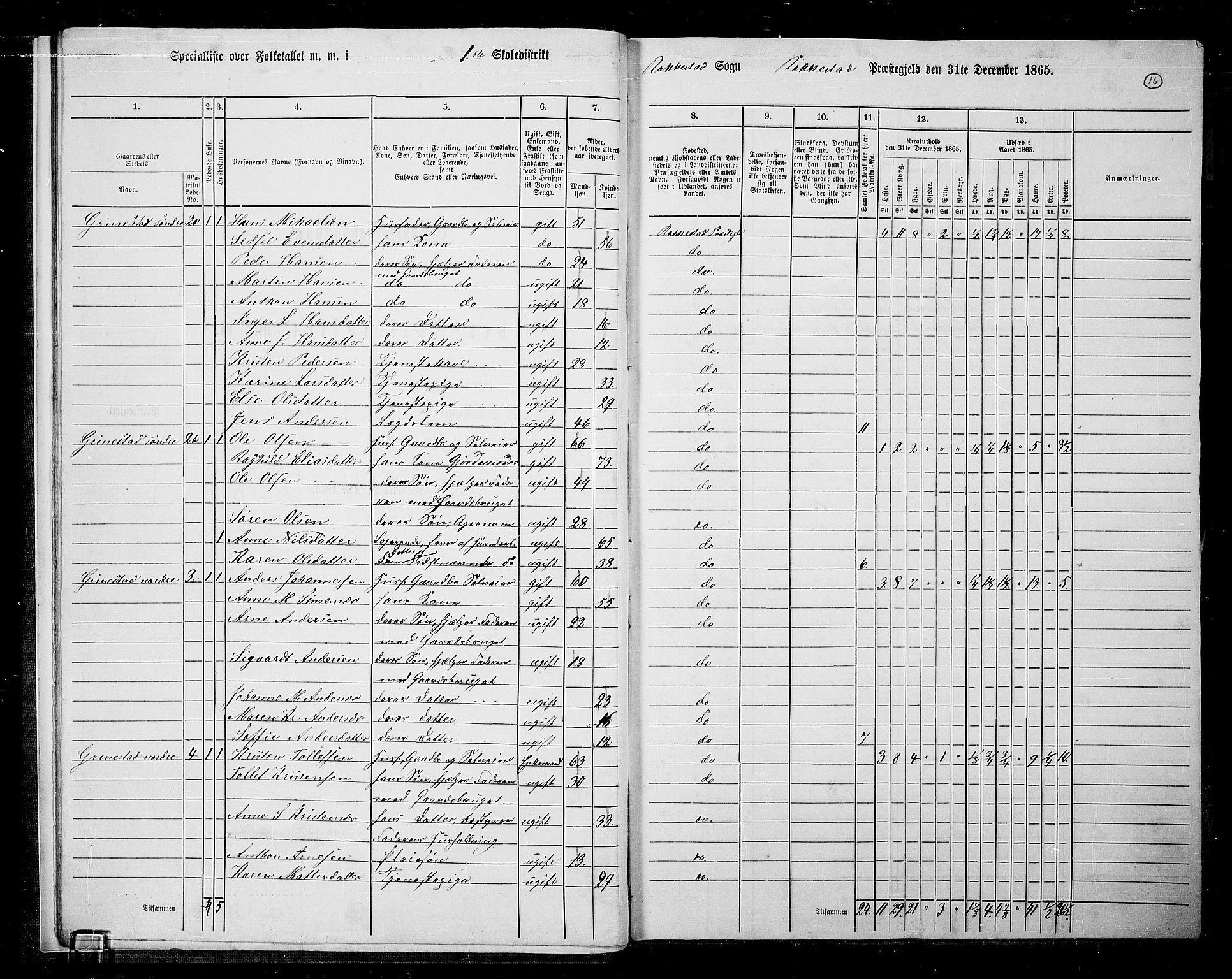 RA, 1865 census for Rakkestad, 1865, p. 17