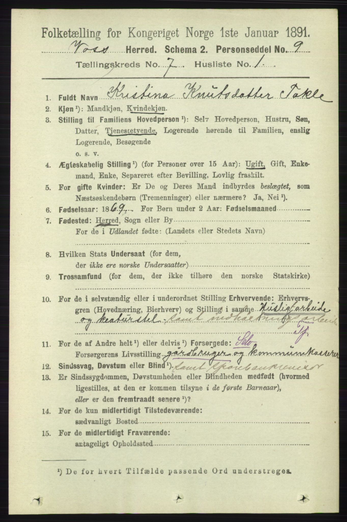 RA, 1891 census for 1235 Voss, 1891, p. 3802