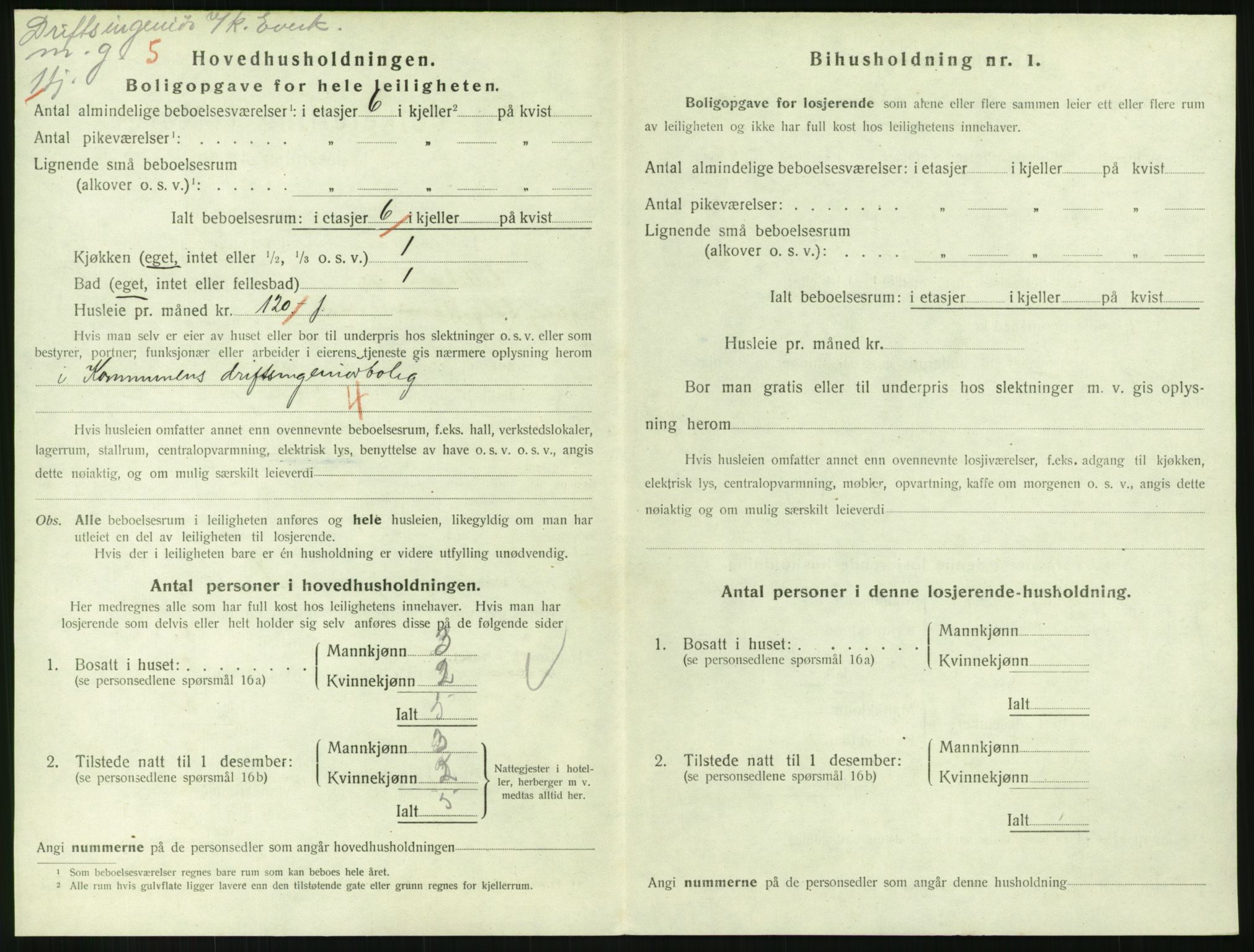 SAH, 1920 census for Lillehammer, 1920, p. 2219