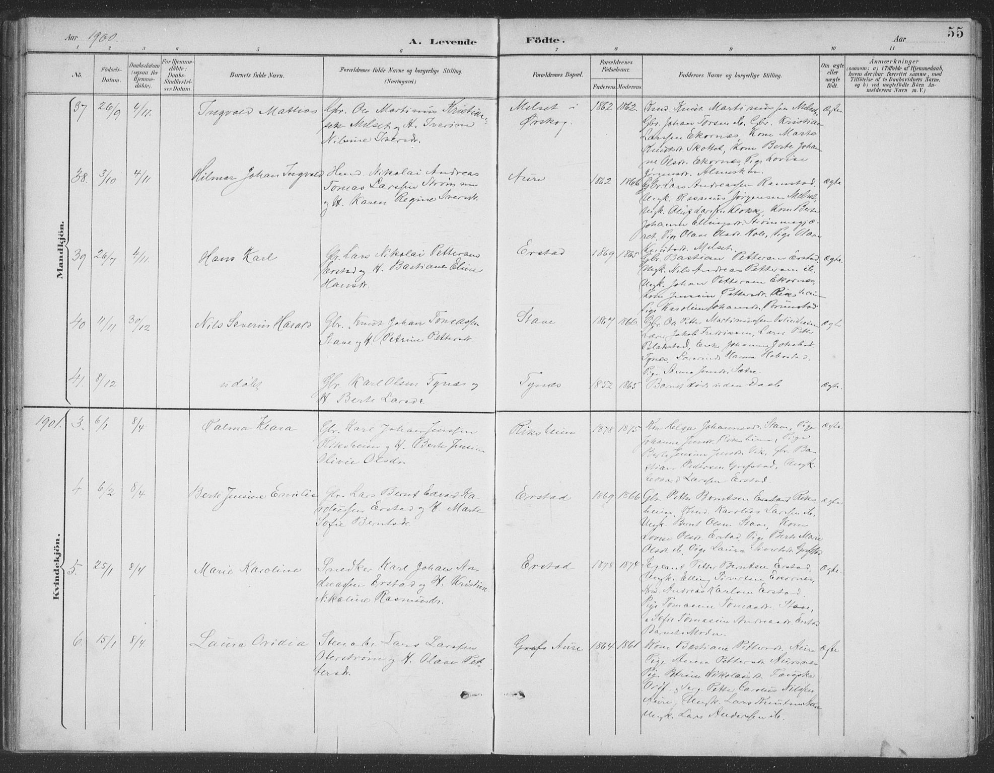 Ministerialprotokoller, klokkerbøker og fødselsregistre - Møre og Romsdal, AV/SAT-A-1454/523/L0335: Parish register (official) no. 523A02, 1891-1911, p. 55