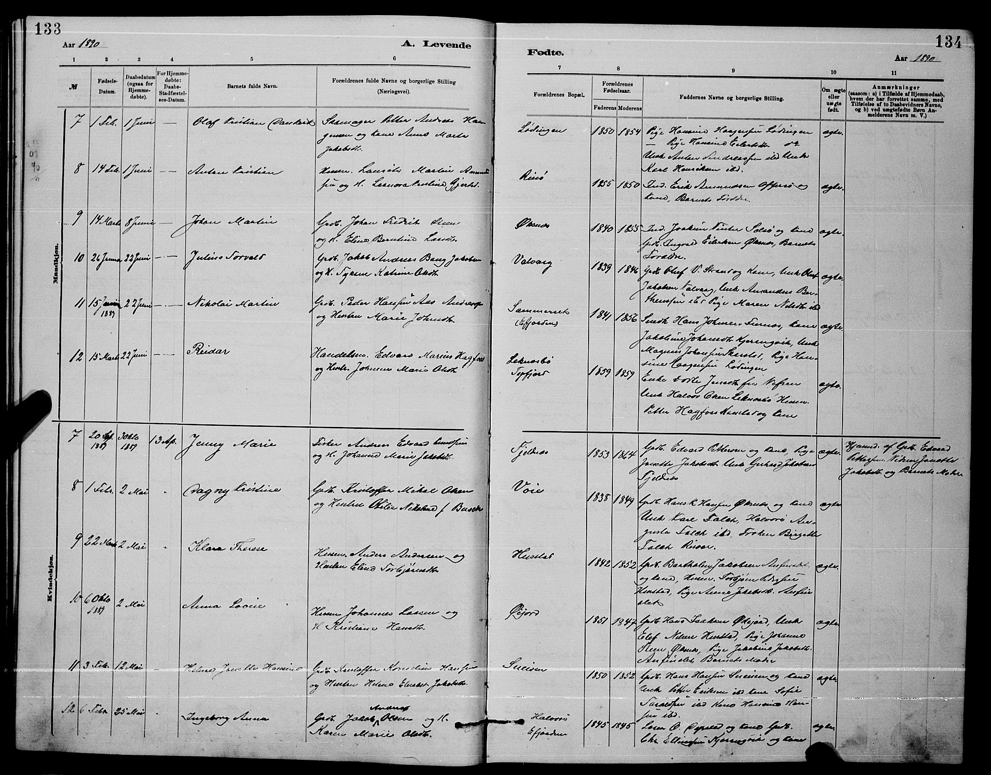 Ministerialprotokoller, klokkerbøker og fødselsregistre - Nordland, AV/SAT-A-1459/872/L1047: Parish register (copy) no. 872C03, 1880-1897, p. 133-134