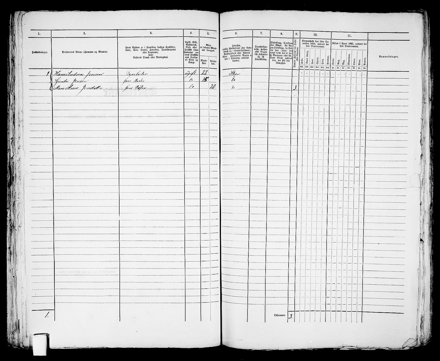 RA, 1865 census for Skien, 1865, p. 954