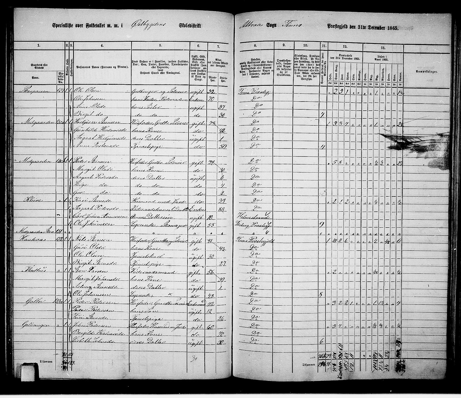 RA, 1865 census for Tinn, 1865, p. 26