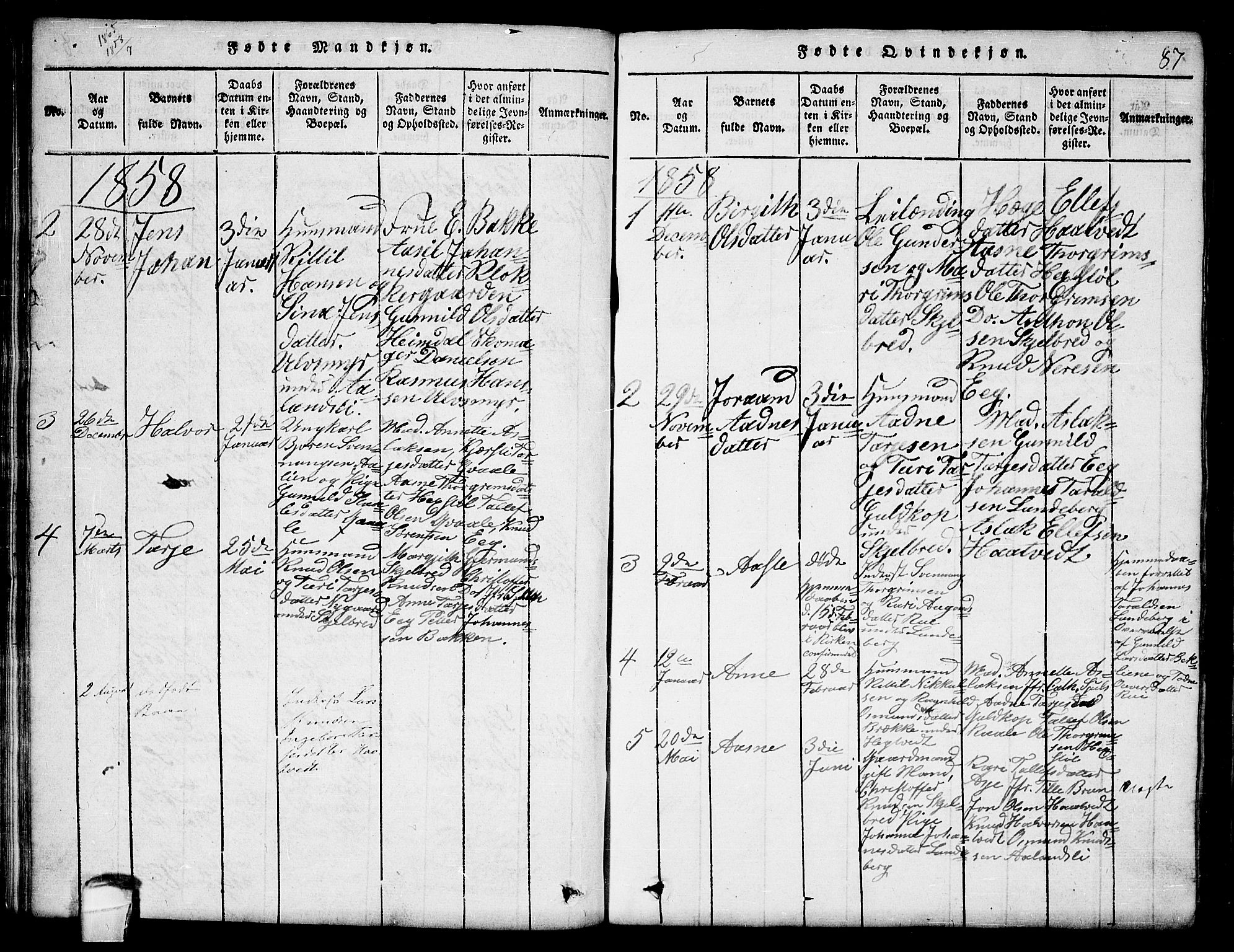 Lårdal kirkebøker, SAKO/A-284/G/Ga/L0001: Parish register (copy) no. I 1, 1815-1861, p. 87