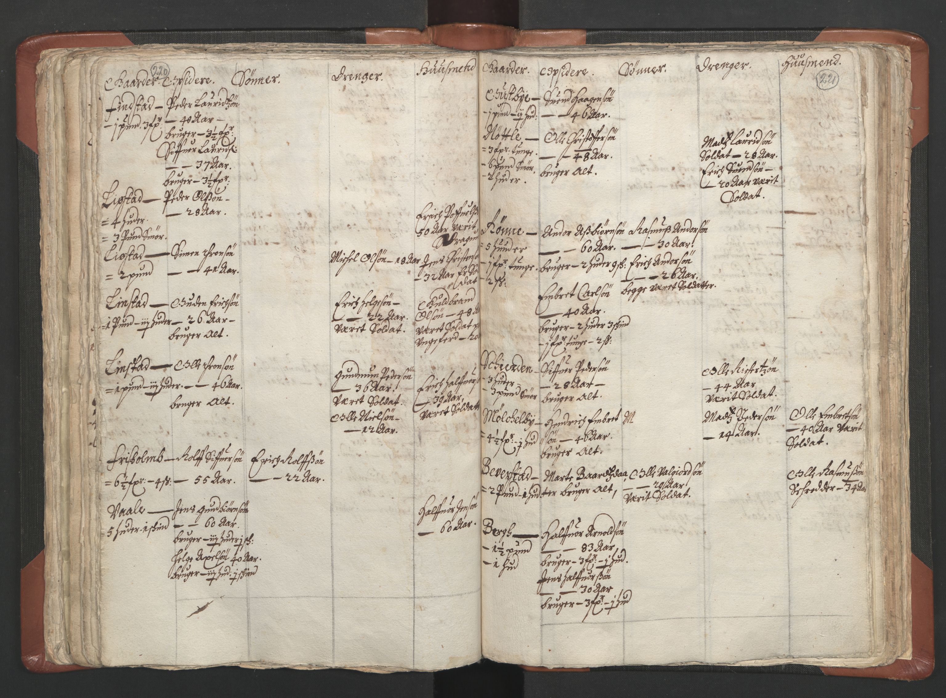 RA, Vicar's Census 1664-1666, no. 5: Hedmark deanery, 1664-1666, p. 220-221