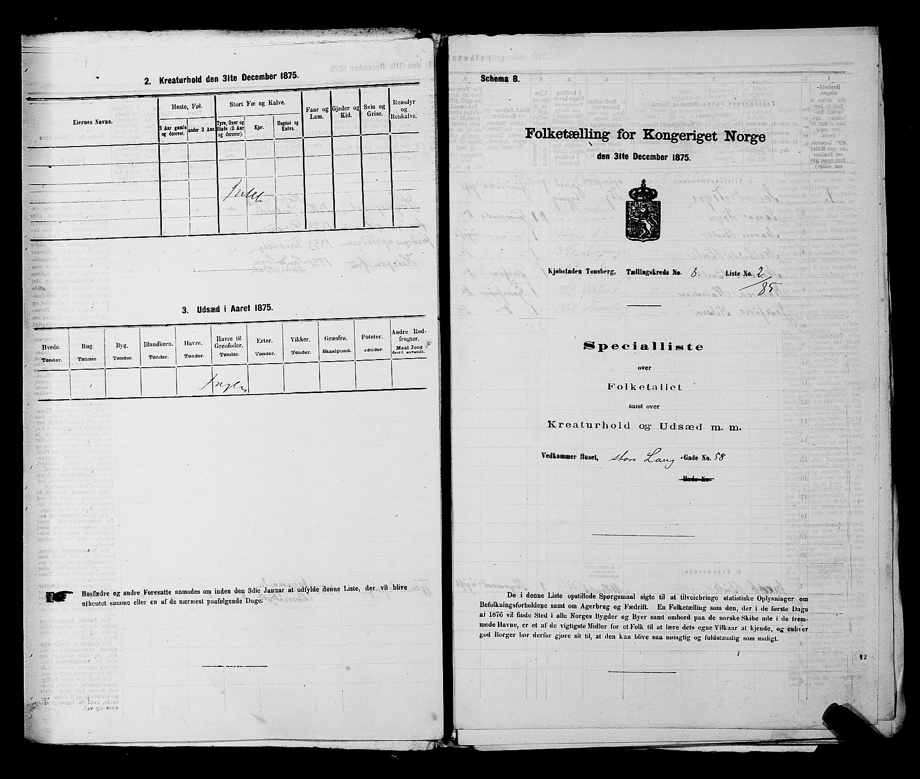 SAKO, 1875 census for 0705P Tønsberg, 1875, p. 224