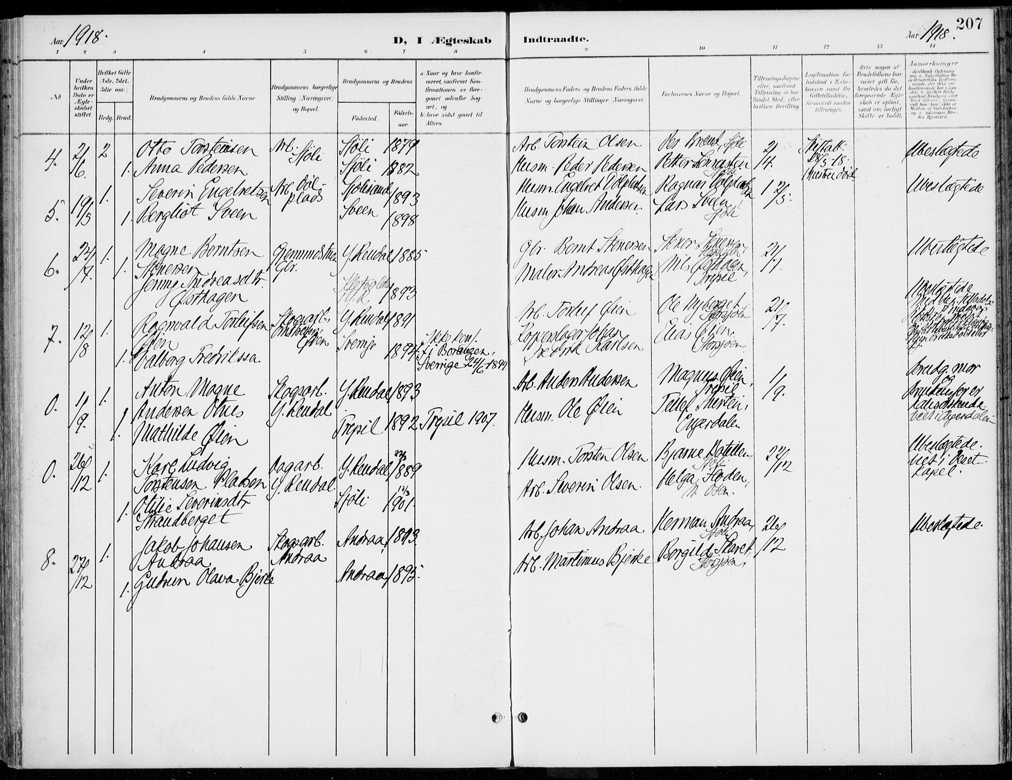 Rendalen prestekontor, AV/SAH-PREST-054/H/Ha/Haa/L0011: Parish register (official) no. 11, 1901-1925, p. 207