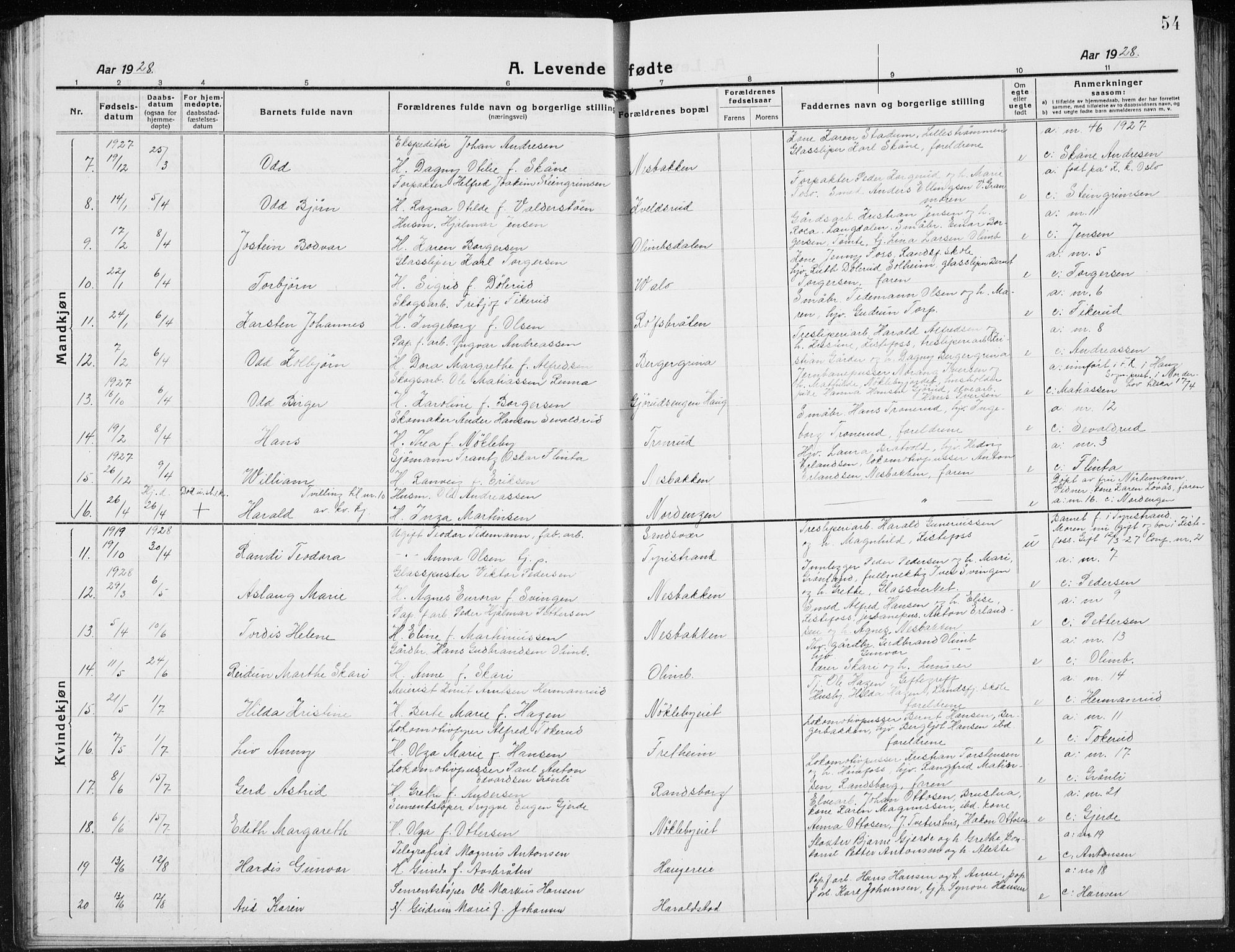 Jevnaker prestekontor, SAH/PREST-116/H/Ha/Hab/L0005: Parish register (copy) no. 5, 1919-1934, p. 54