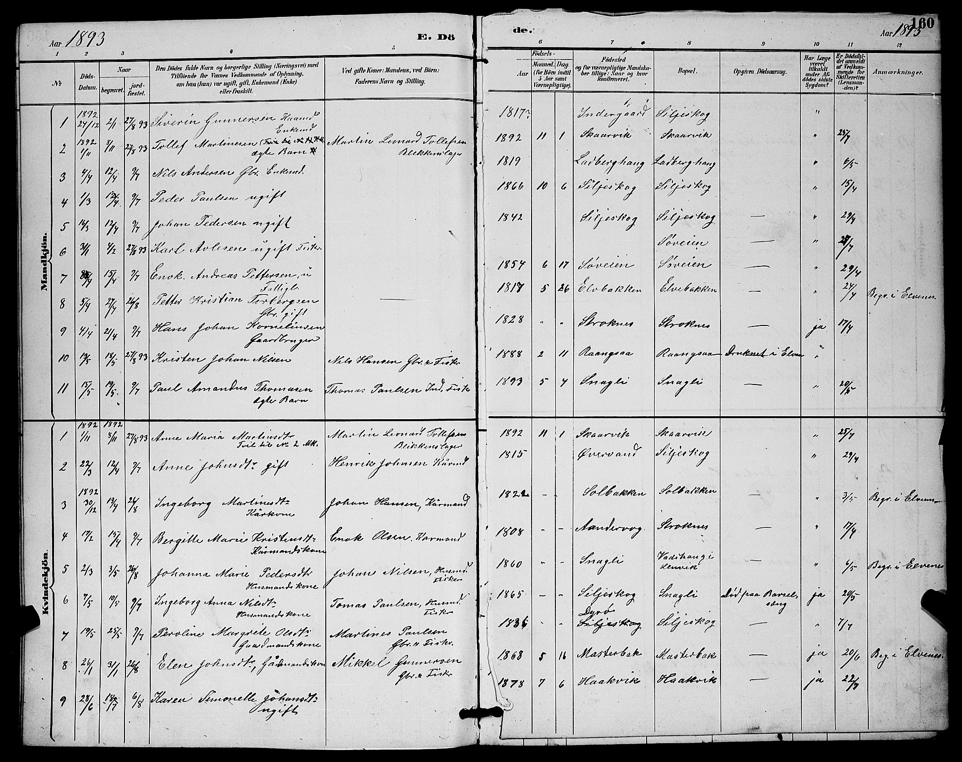 Ibestad sokneprestembete, AV/SATØ-S-0077/H/Ha/Hab/L0015klokker: Parish register (copy) no. 15, 1888-1899, p. 160
