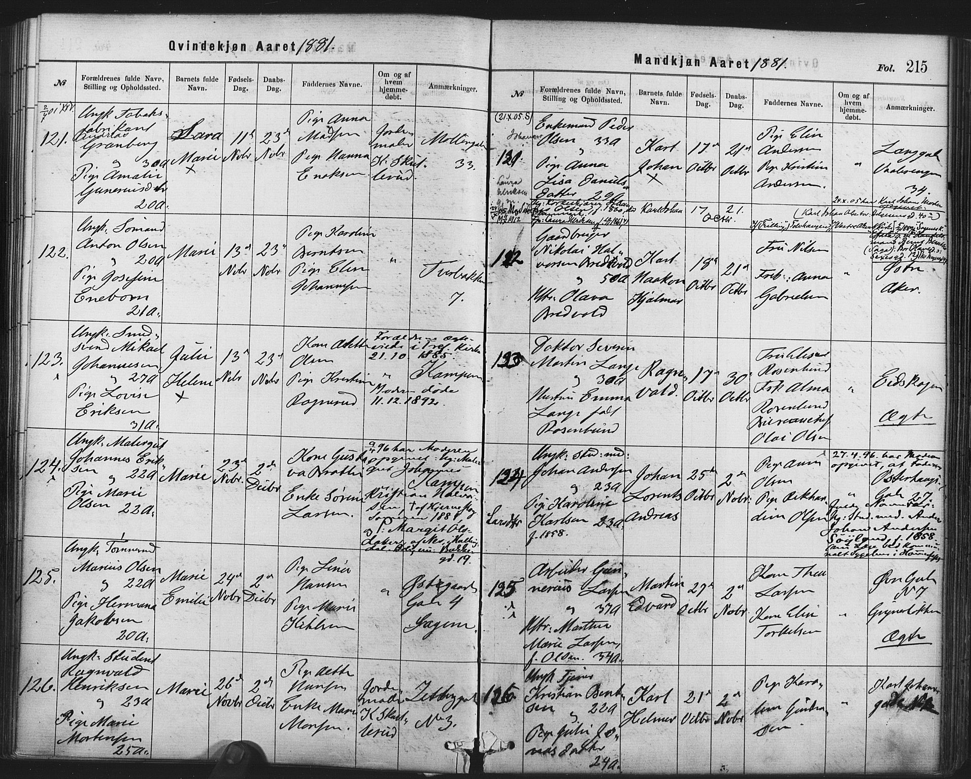 Rikshospitalet prestekontor Kirkebøker, AV/SAO-A-10309b/F/L0006: Parish register (official) no. 6, 1871-1885, p. 215