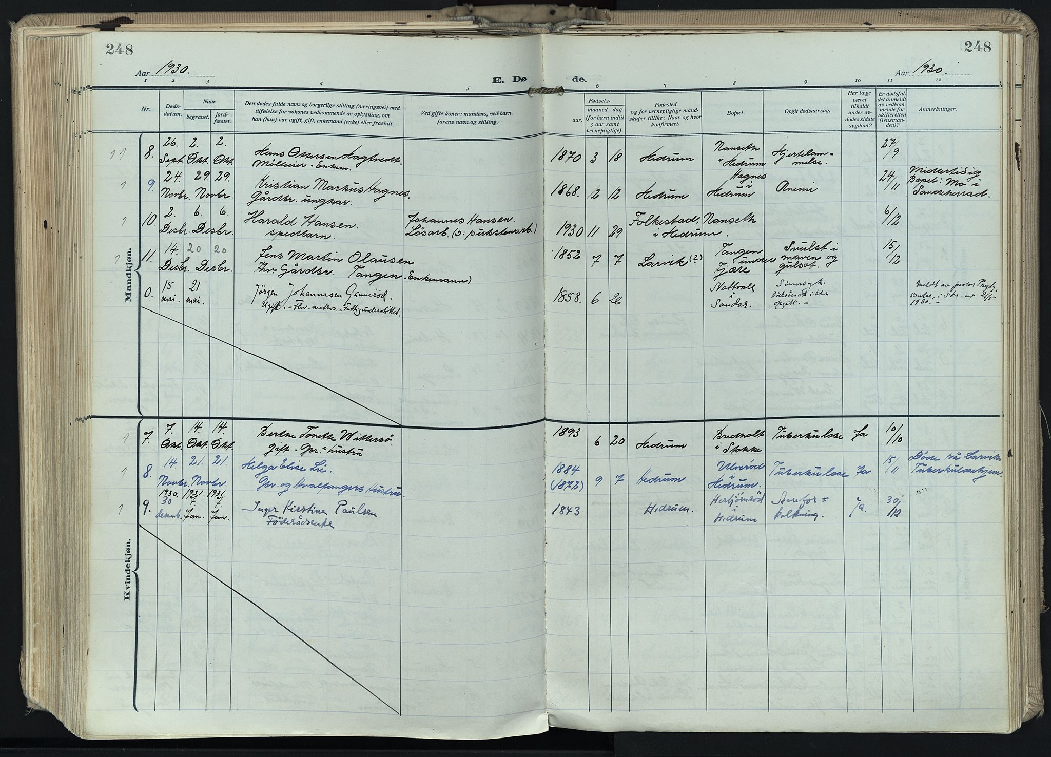 Hedrum kirkebøker, SAKO/A-344/F/Fa/L0011: Parish register (official) no. I 11, 1919-1933, p. 248