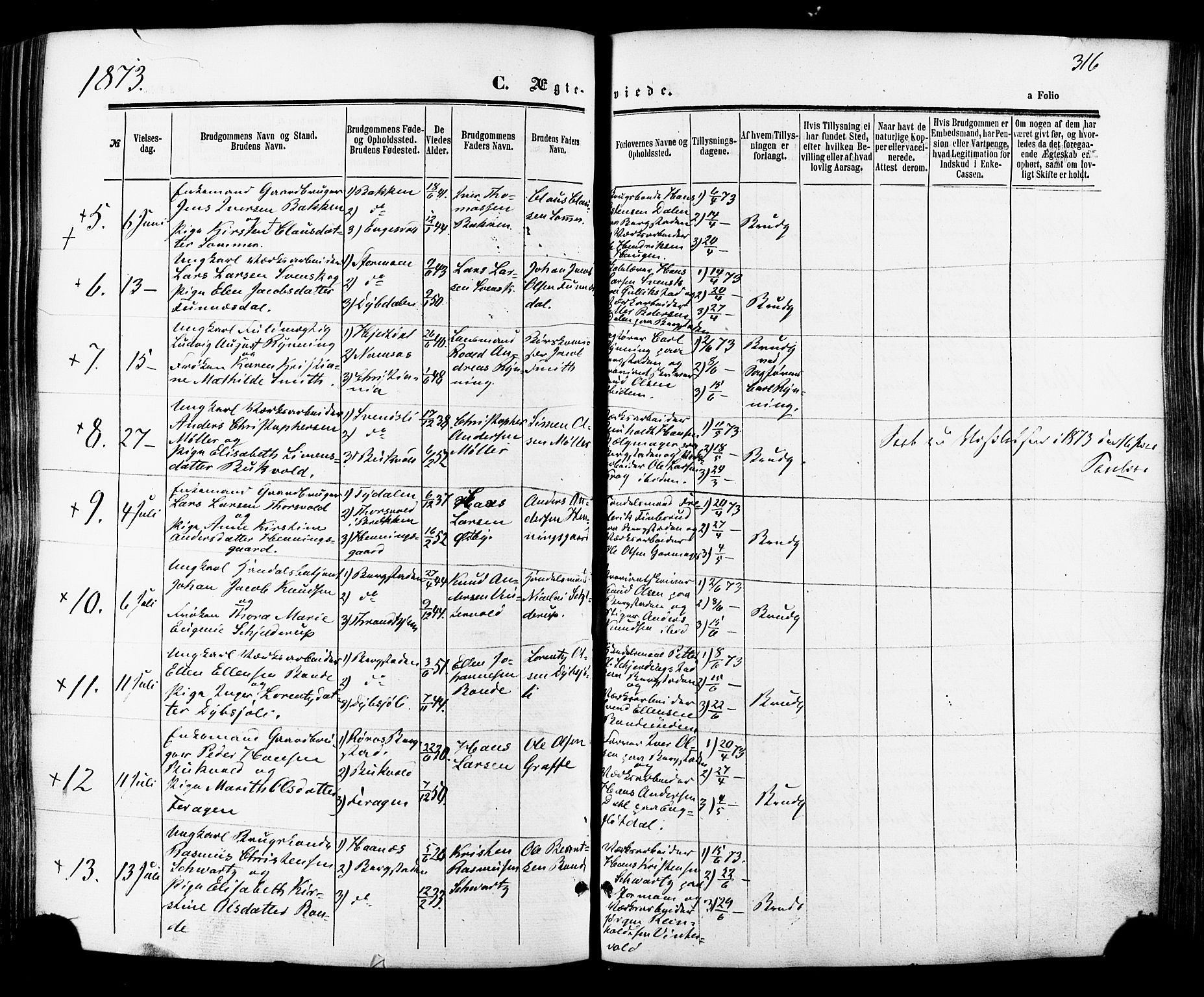 Ministerialprotokoller, klokkerbøker og fødselsregistre - Sør-Trøndelag, SAT/A-1456/681/L0932: Parish register (official) no. 681A10, 1860-1878, p. 316