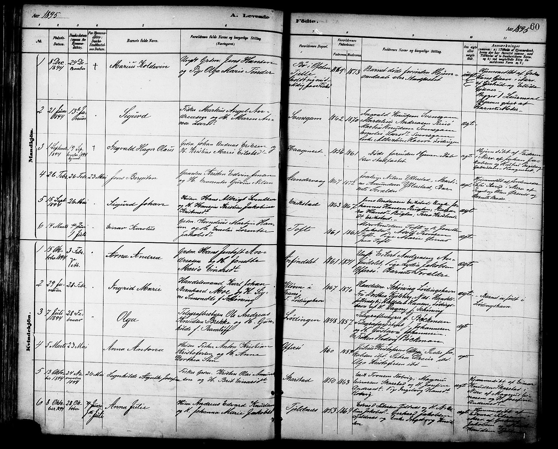 Ministerialprotokoller, klokkerbøker og fødselsregistre - Nordland, AV/SAT-A-1459/872/L1035: Parish register (official) no. 872A10, 1884-1896, p. 60