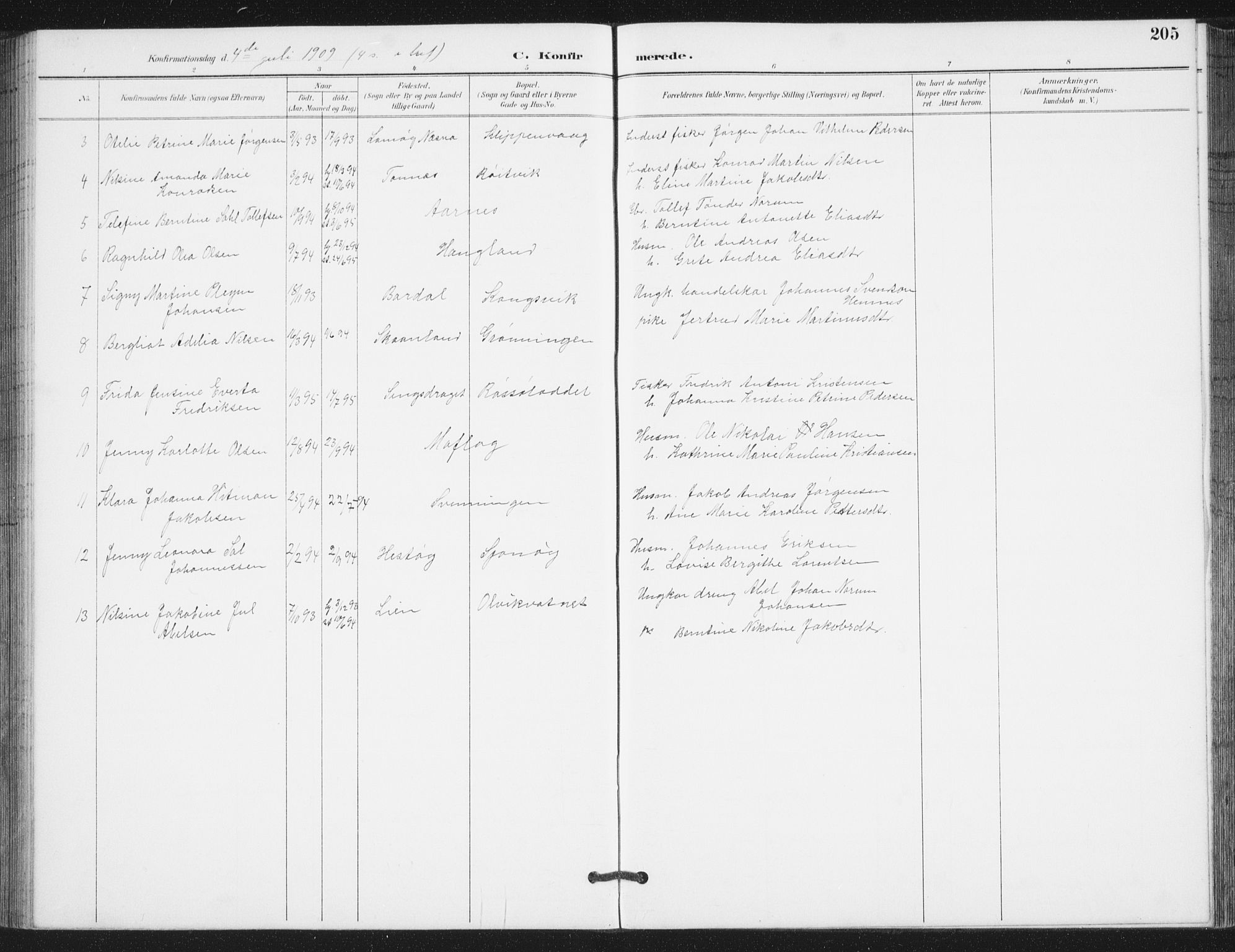 Ministerialprotokoller, klokkerbøker og fødselsregistre - Nordland, AV/SAT-A-1459/839/L0573: Parish register (copy) no. 839C03, 1892-1917, p. 205