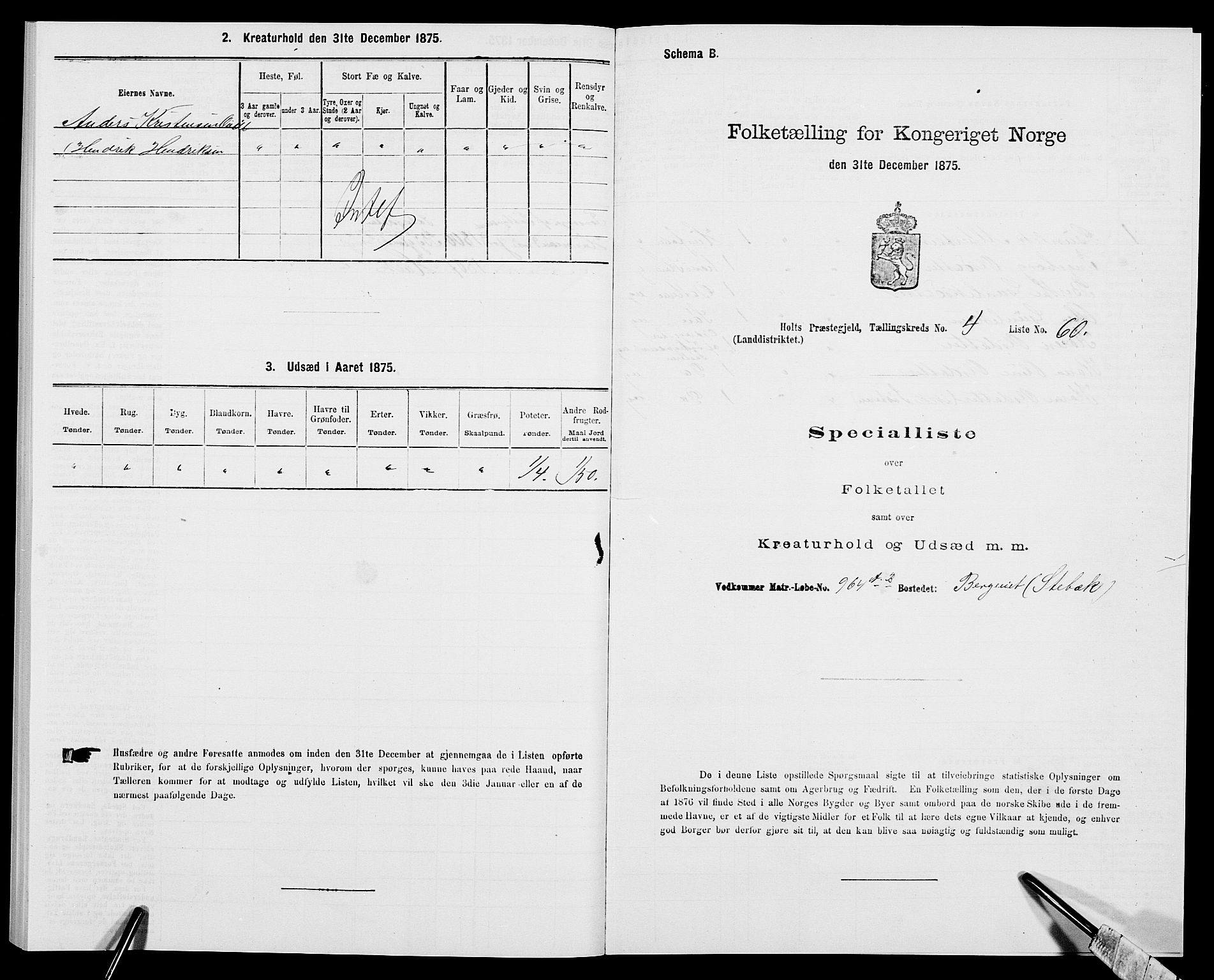 SAK, 1875 census for 0914L Holt/Holt, 1875, p. 527