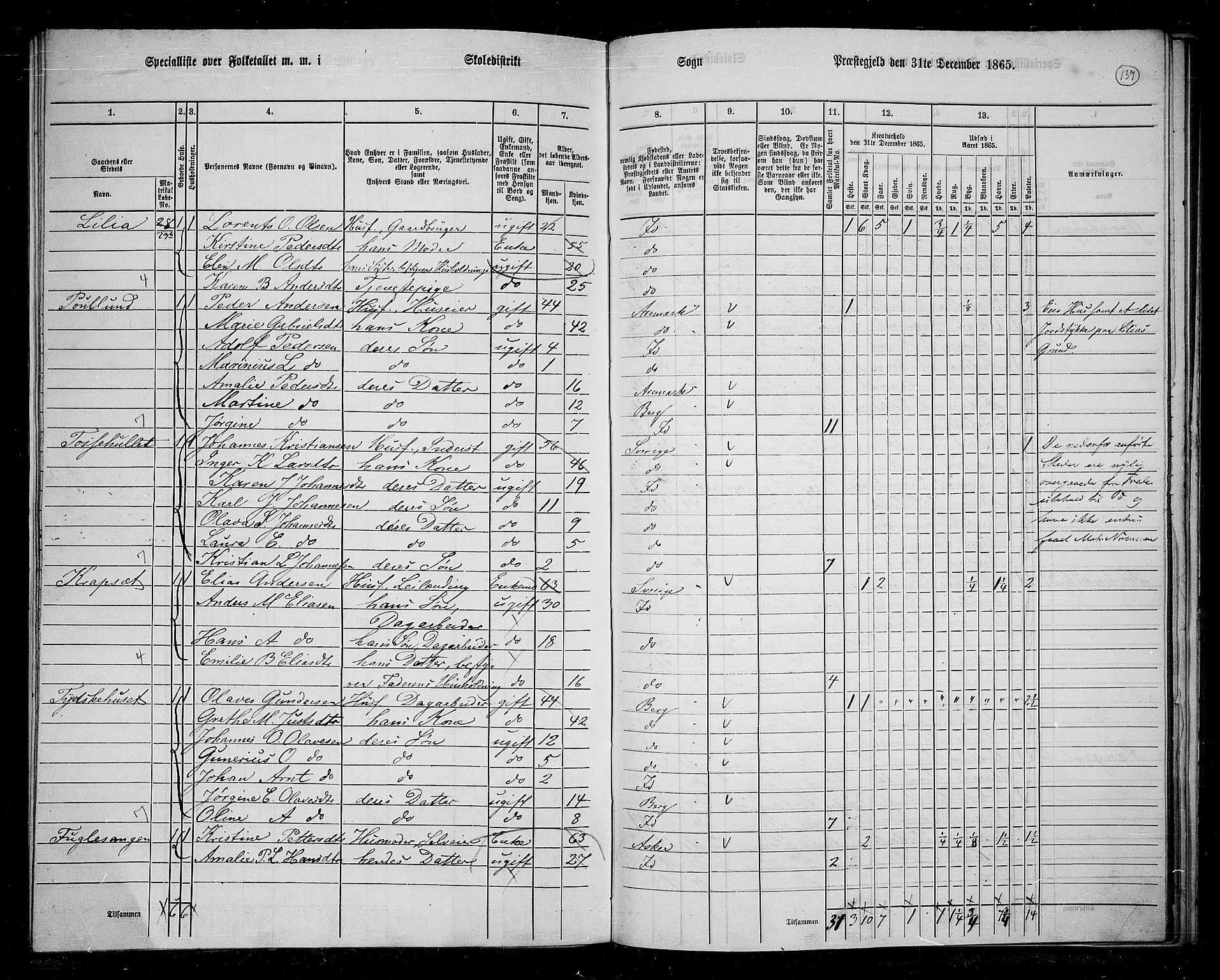 RA, 1865 census for Idd, 1865, p. 122