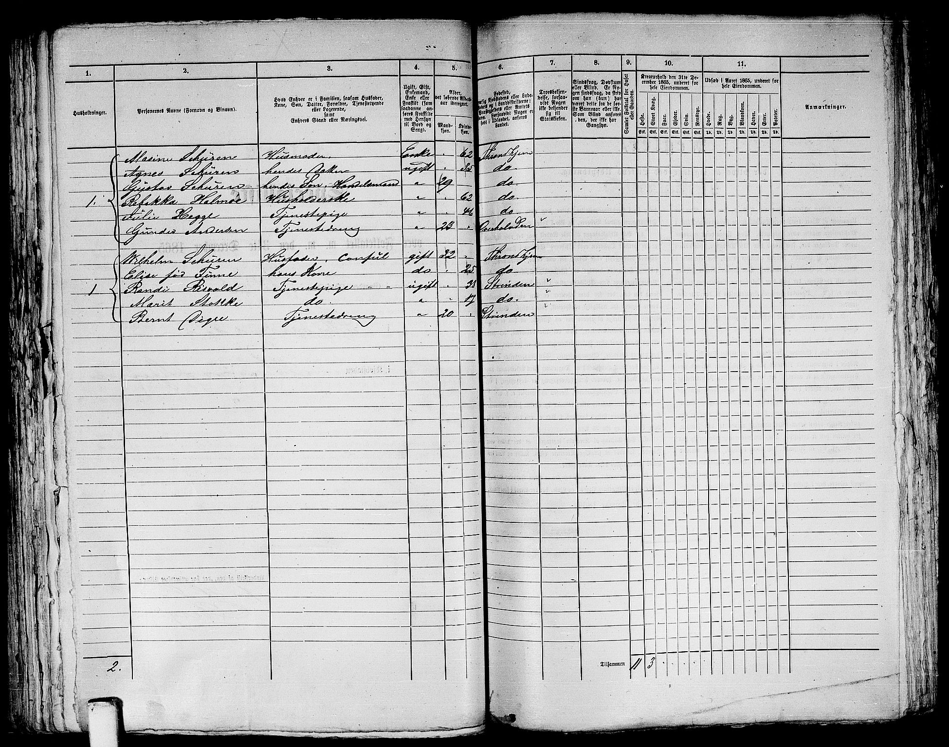 RA, 1865 census for Trondheim, 1865, p. 314