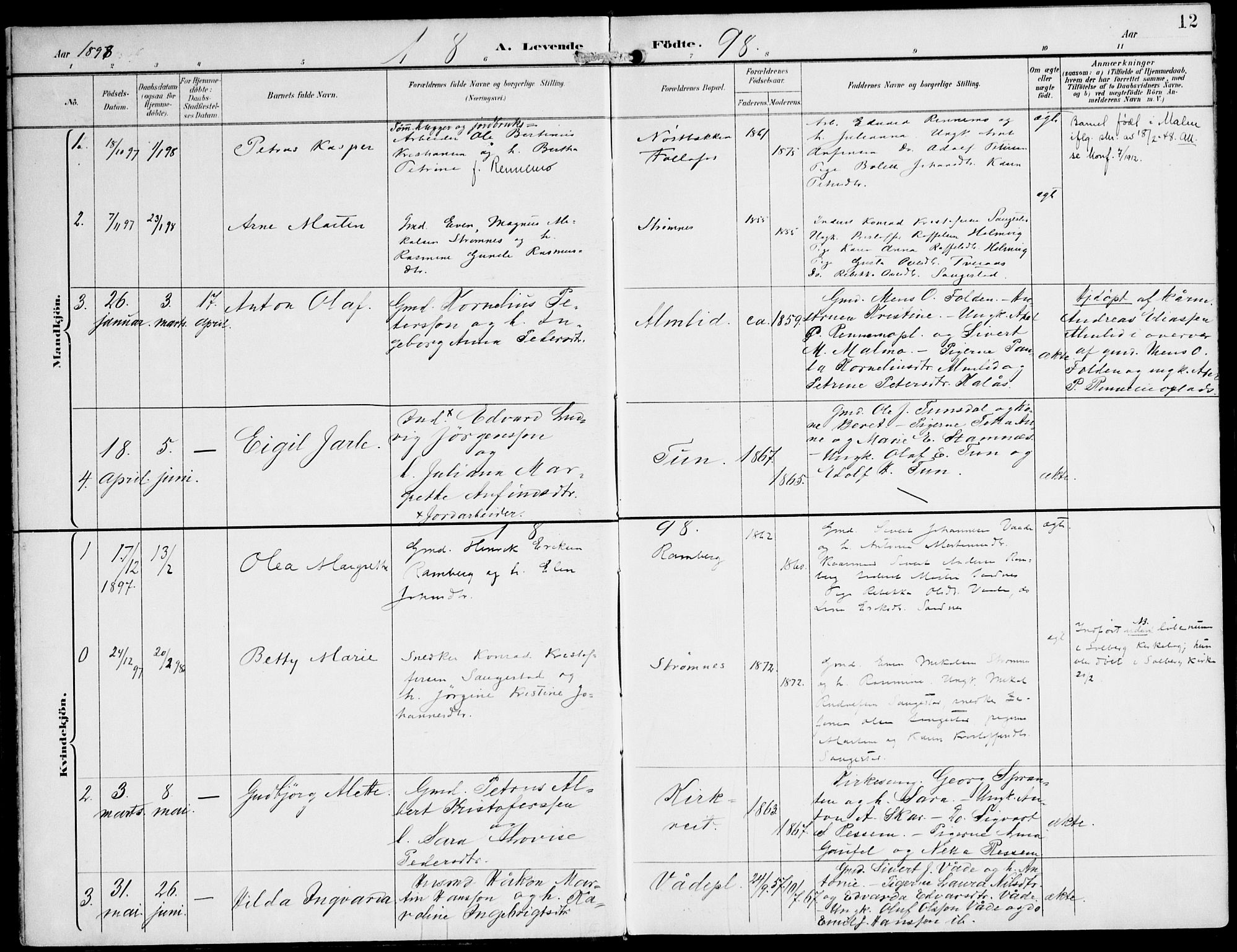 Ministerialprotokoller, klokkerbøker og fødselsregistre - Nord-Trøndelag, AV/SAT-A-1458/745/L0430: Parish register (official) no. 745A02, 1895-1913, p. 12