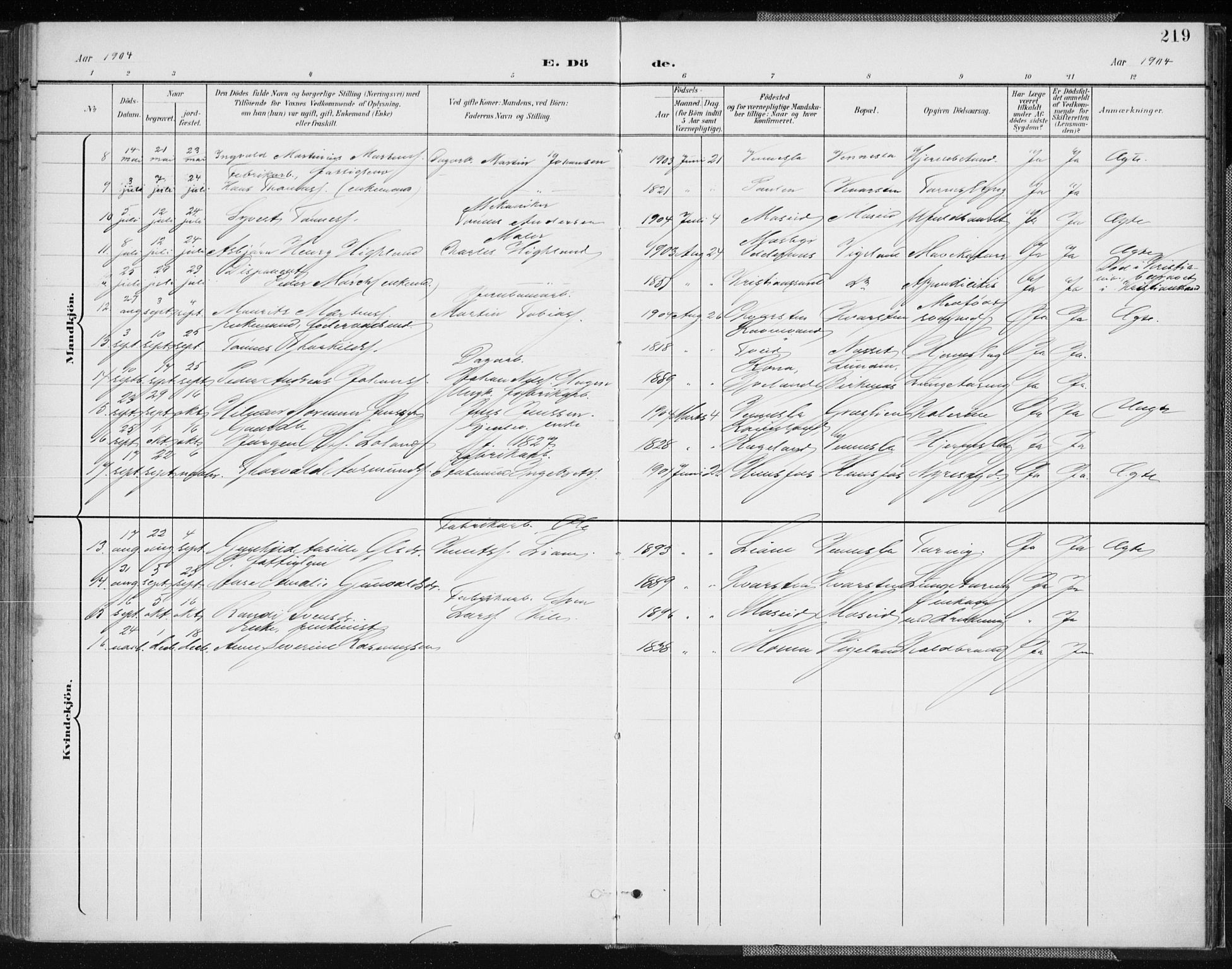 Vennesla sokneprestkontor, SAK/1111-0045/Fa/Fab/L0005: Parish register (official) no. A 5, 1897-1909, p. 219