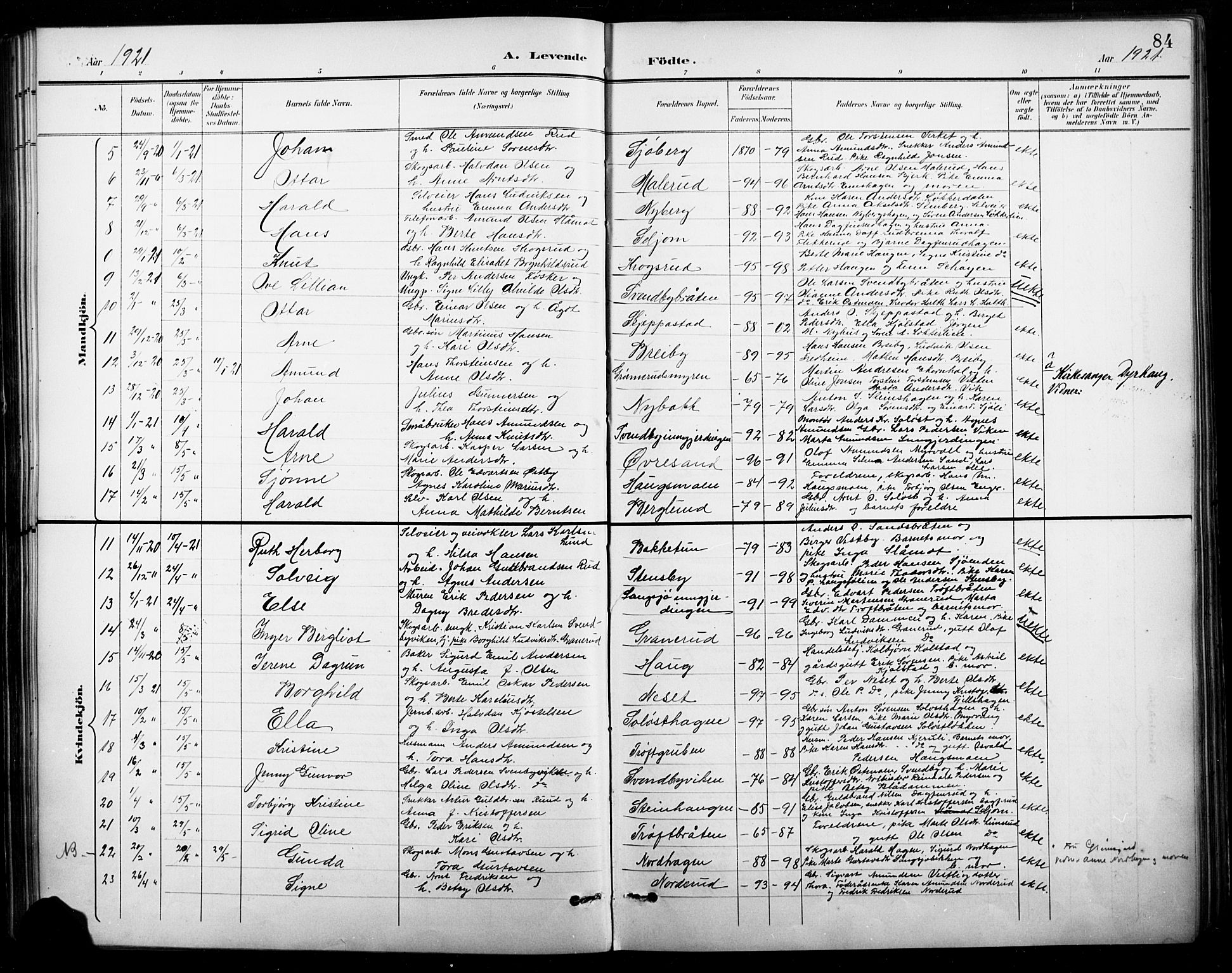 Nord-Odal prestekontor, AV/SAH-PREST-032/H/Ha/Hab/L0003: Parish register (copy) no. 3, 1895-1923, p. 84