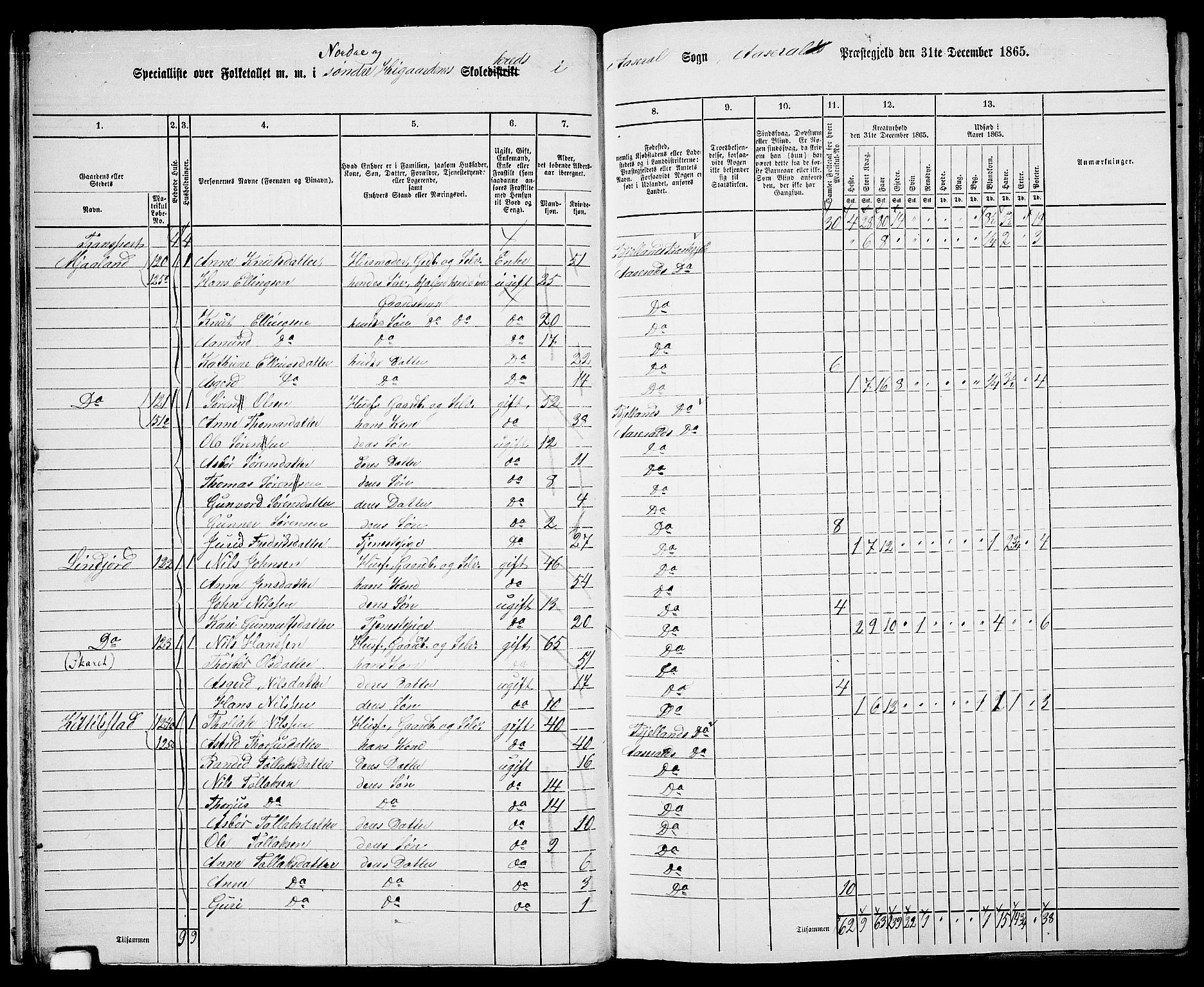 RA, 1865 census for Åseral, 1865, p. 24