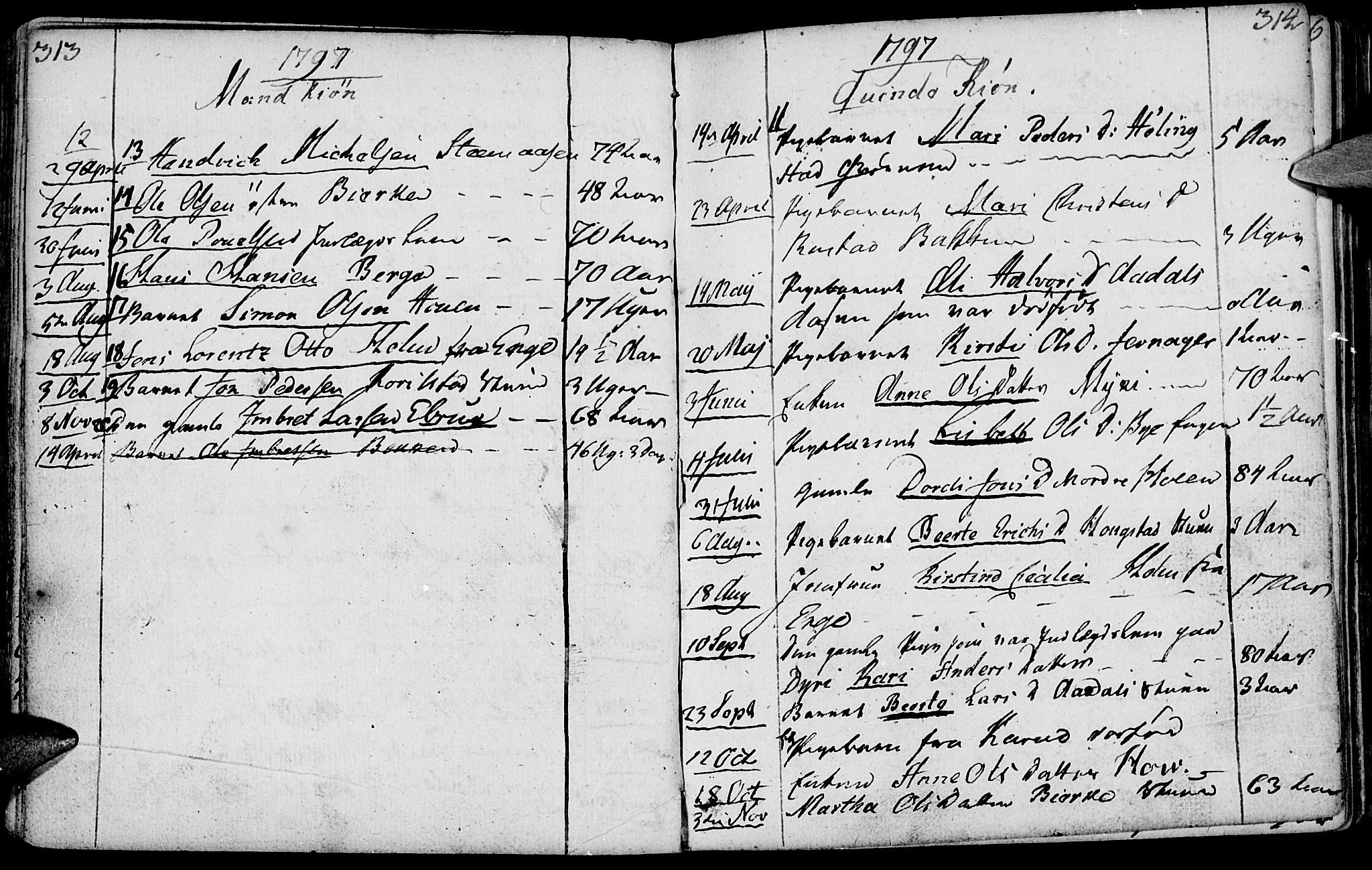 Løten prestekontor, SAH/PREST-022/K/Ka/L0003: Parish register (official) no. 3, 1773-1800, p. 313-314