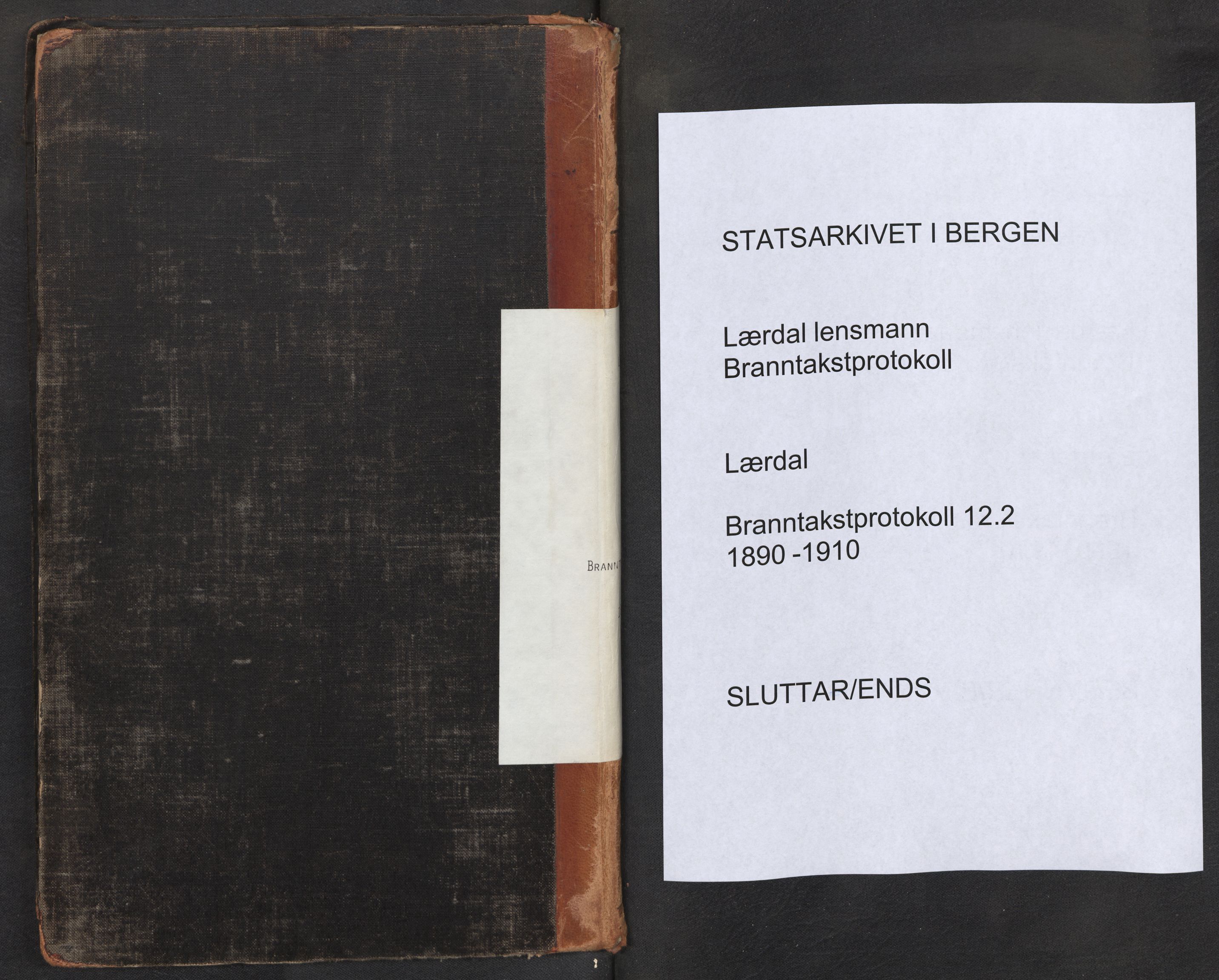 Lensmannen i Lærdal, AV/SAB-A-29401/0012/L0002: Branntakstprotokoll, 1890-1910