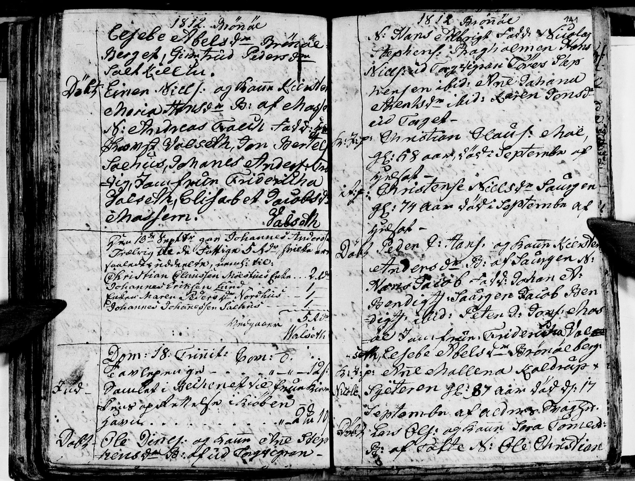 Ministerialprotokoller, klokkerbøker og fødselsregistre - Nordland, AV/SAT-A-1459/813/L0209: Parish register (copy) no. 813C01, 1803-1821, p. 141