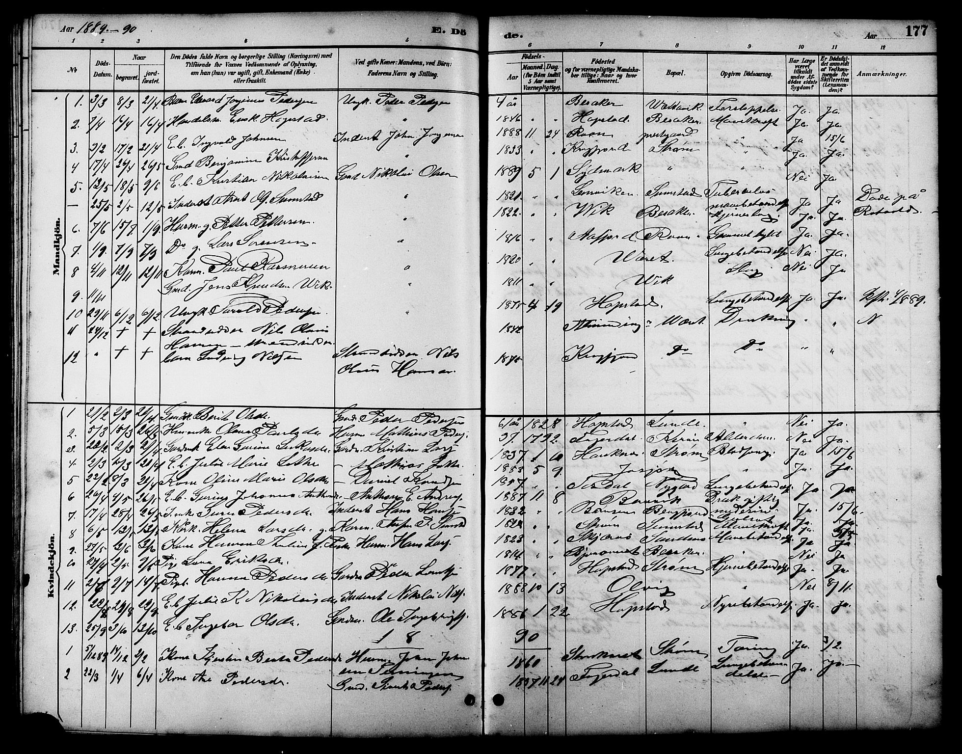 Ministerialprotokoller, klokkerbøker og fødselsregistre - Sør-Trøndelag, AV/SAT-A-1456/657/L0716: Parish register (copy) no. 657C03, 1889-1904, p. 177