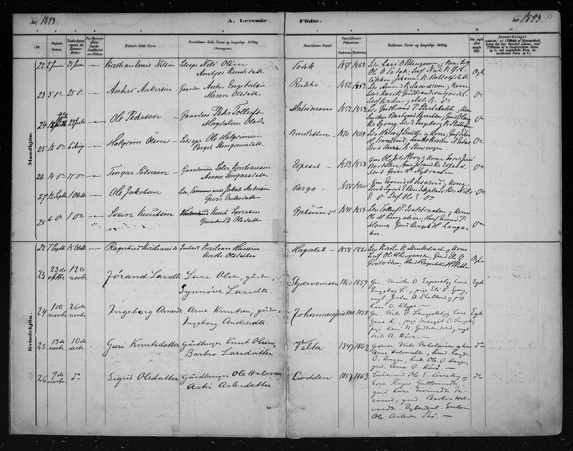 Nes kirkebøker, AV/SAKO-A-236/F/Fa/L0011: Parish register (official) no. 11, 1881-1912, p. 73