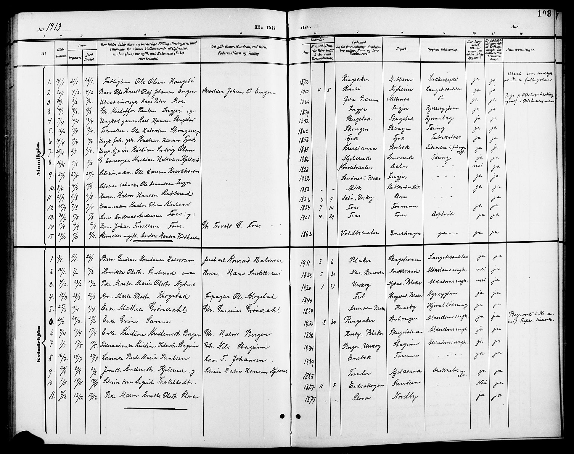 Aurskog prestekontor Kirkebøker, SAO/A-10304a/G/Gb/L0002: Parish register (copy) no. II 2, 1901-1926, p. 193