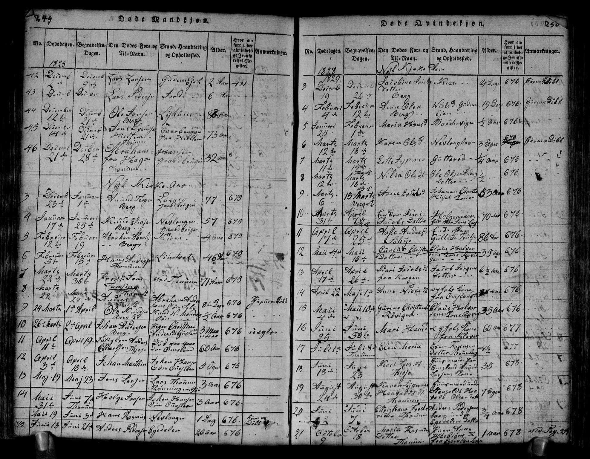 Brunlanes kirkebøker, AV/SAKO-A-342/G/Ga/L0001: Parish register (copy) no. I 1, 1814-1834, p. 249-250