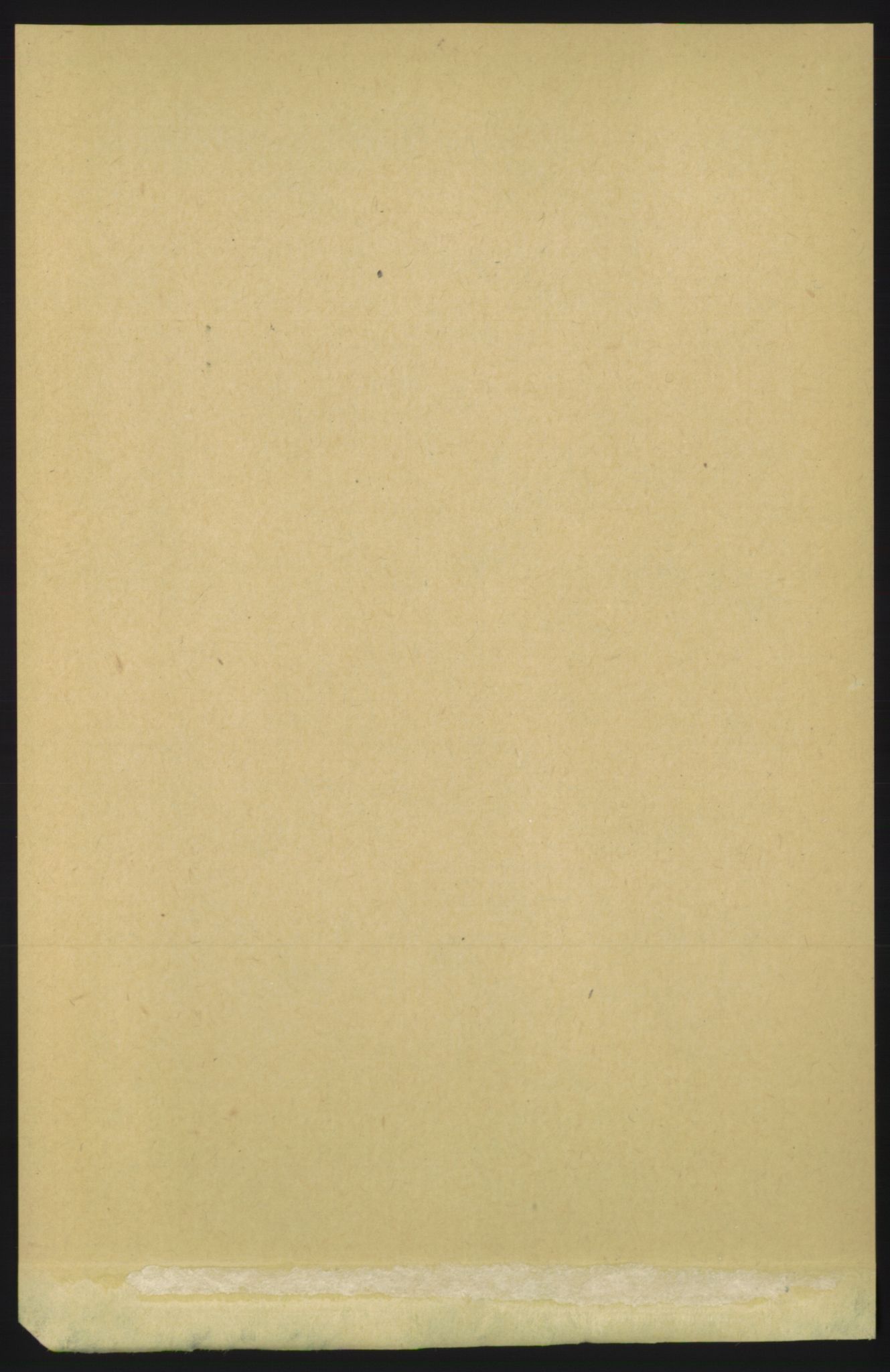 RA, 1891 census for 1531 Borgund, 1891, p. 1263