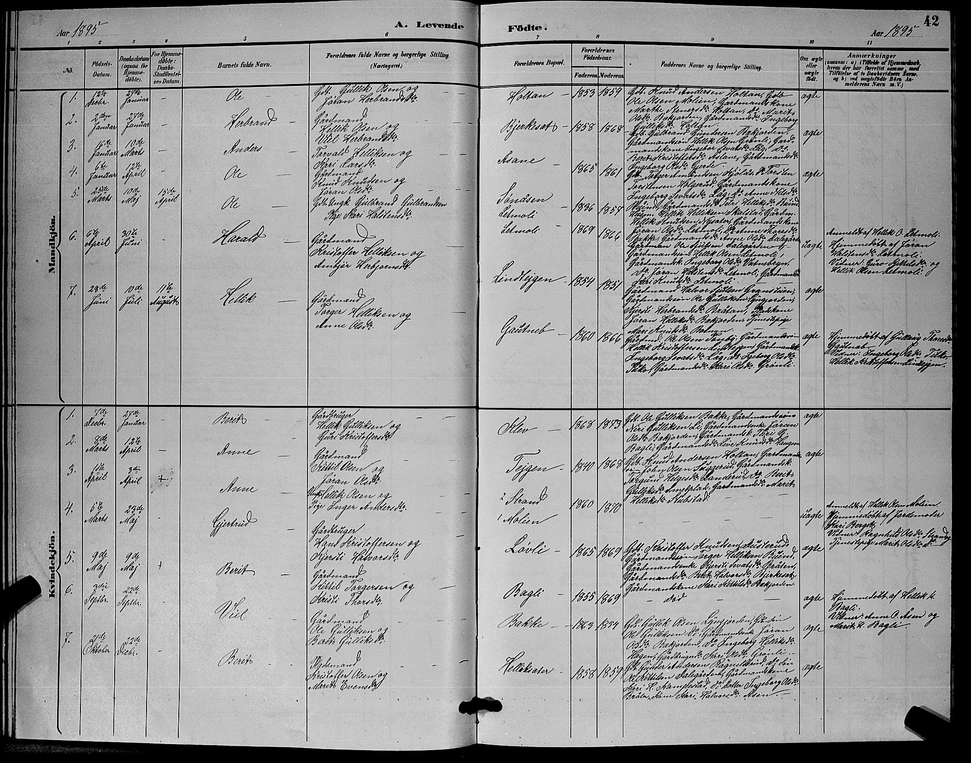 Flesberg kirkebøker, AV/SAKO-A-18/G/Ga/L0004: Parish register (copy) no. I 4 /3, 1890-1898, p. 42