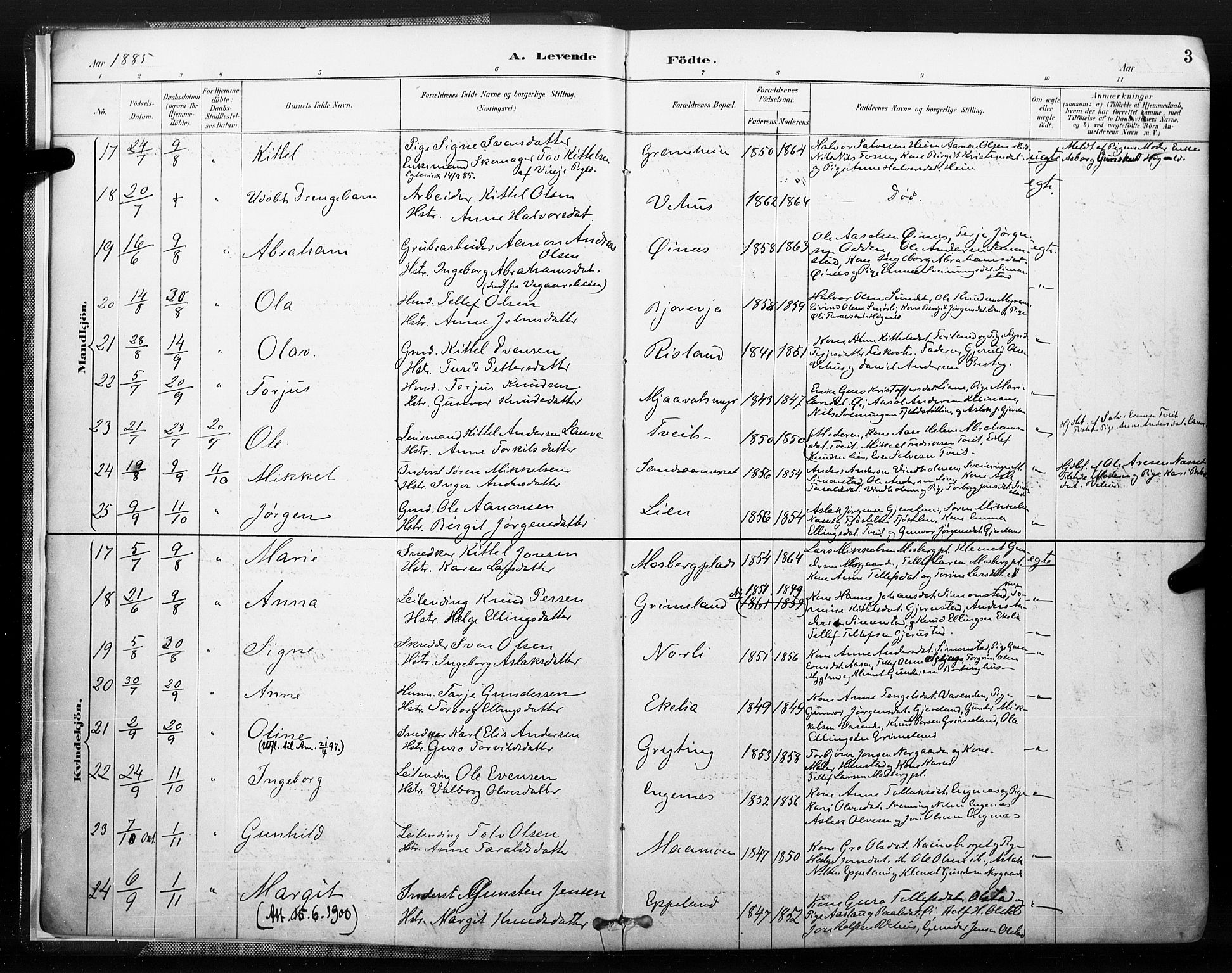 Åmli sokneprestkontor, AV/SAK-1111-0050/F/Fa/Fac/L0010: Parish register (official) no. A 10 /1, 1885-1899, p. 3