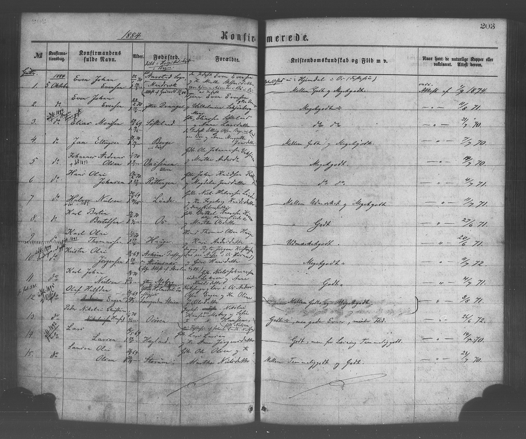 Os sokneprestembete, SAB/A-99929: Parish register (official) no. A 18, 1874-1884, p. 203