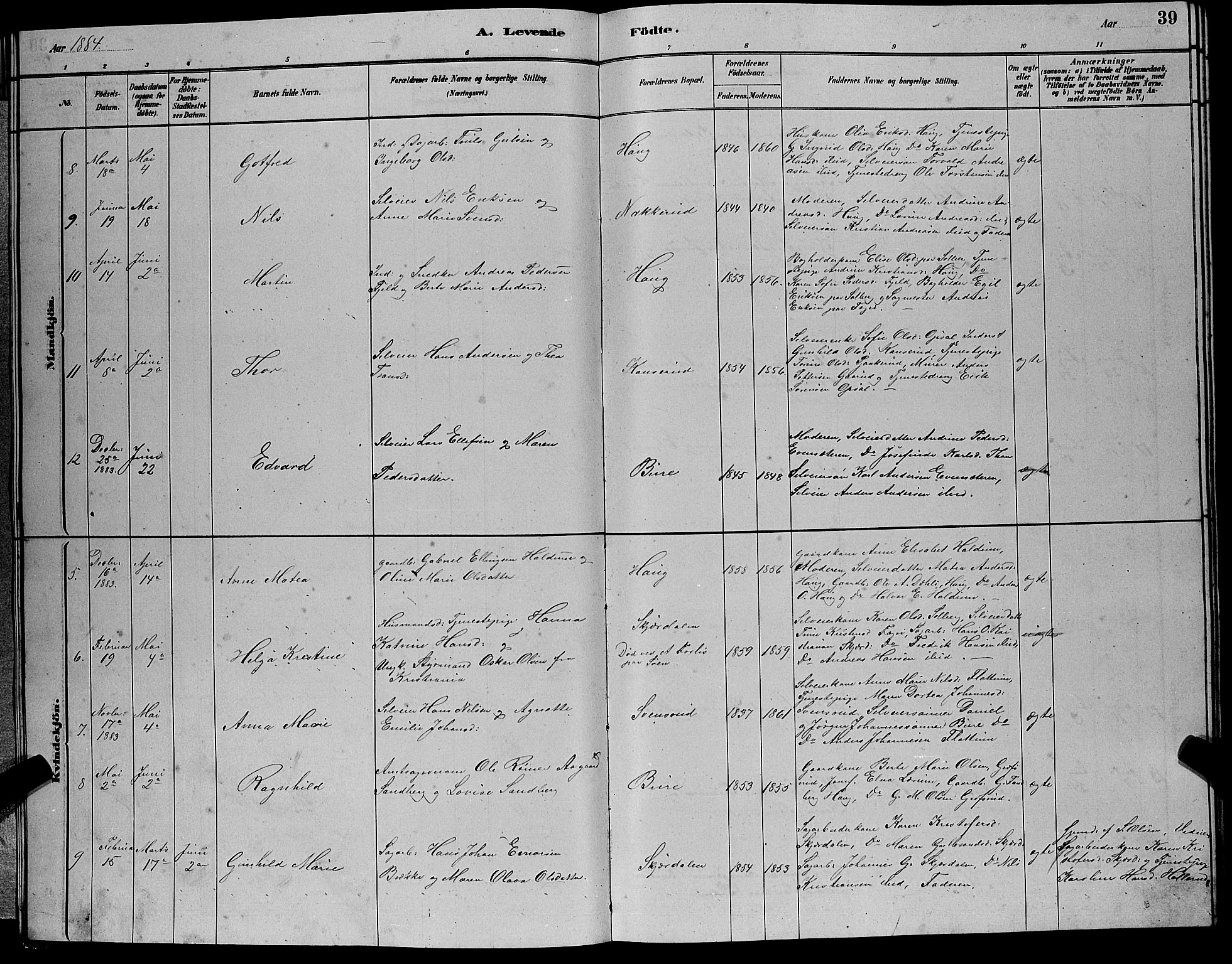 Hole kirkebøker, AV/SAKO-A-228/G/Gb/L0002: Parish register (copy) no. II 2, 1878-1889, p. 39