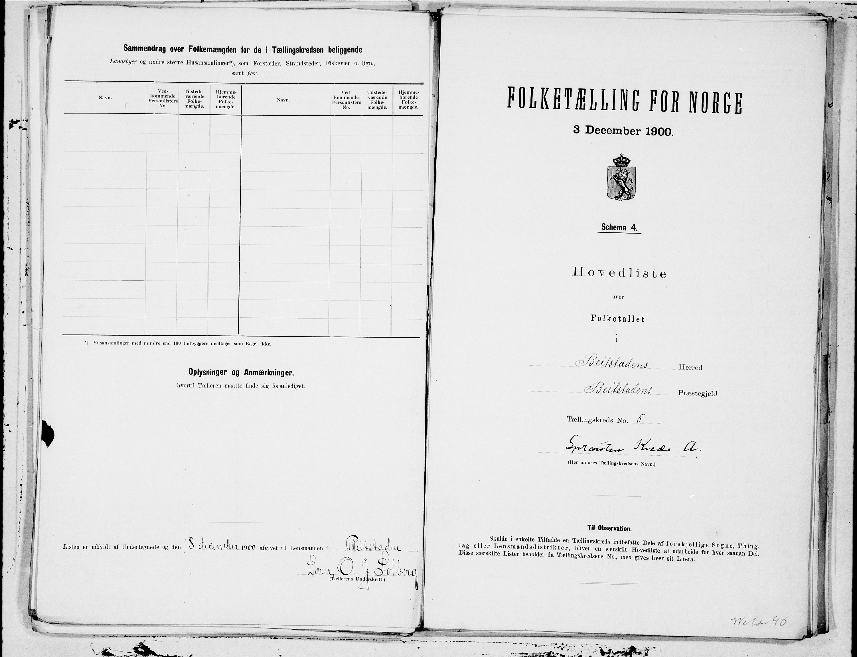 SAT, 1900 census for Beitstad, 1900, p. 10