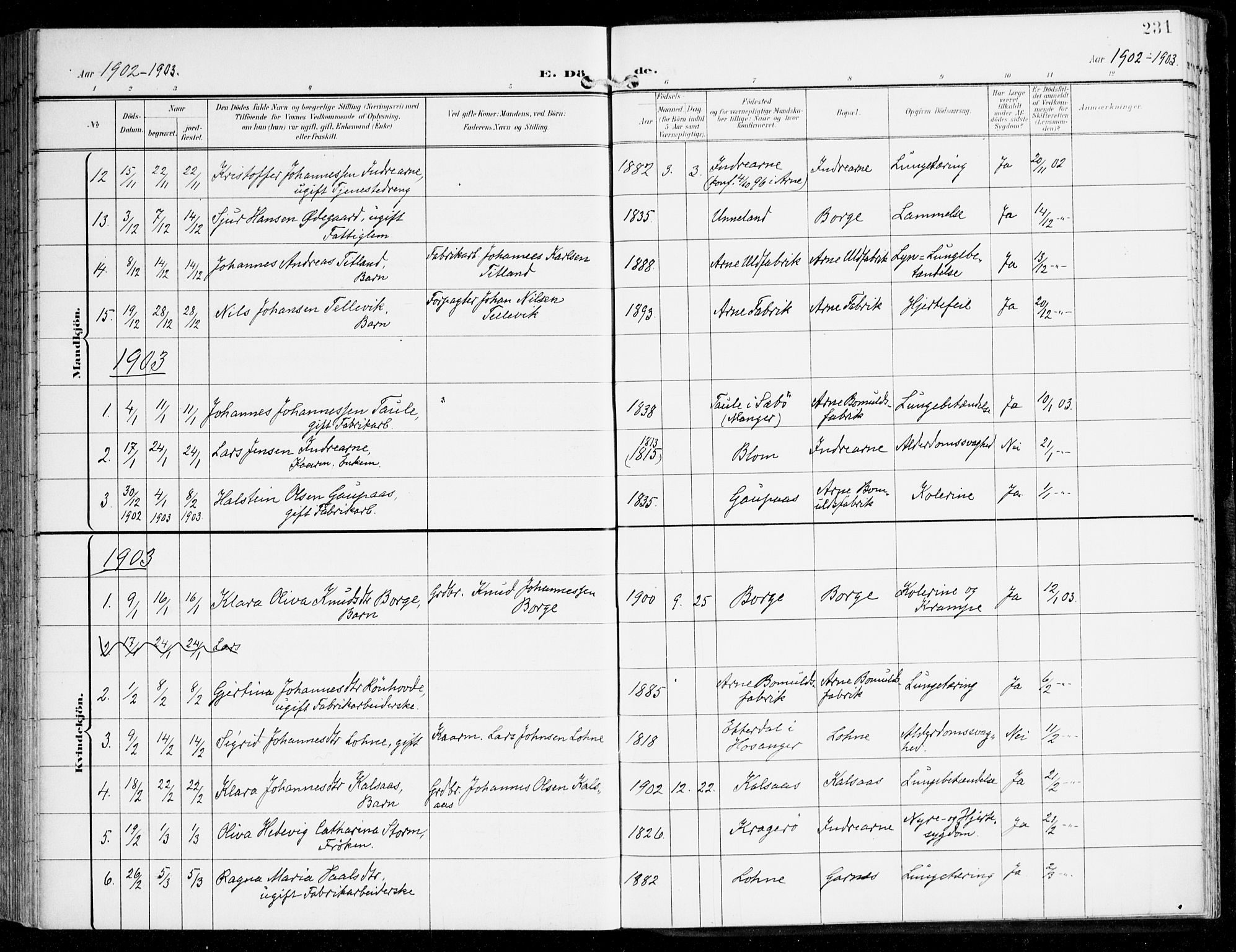 Haus sokneprestembete, AV/SAB-A-75601/H/Haa: Parish register (official) no. D 2, 1899-1912, p. 231