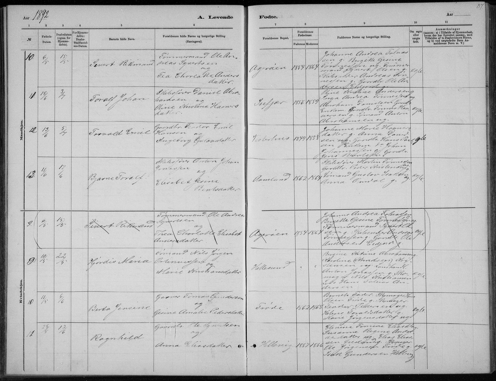 Høvåg sokneprestkontor, AV/SAK-1111-0025/F/Fb/L0004: Parish register (copy) no. B 4, 1883-1898, p. 87