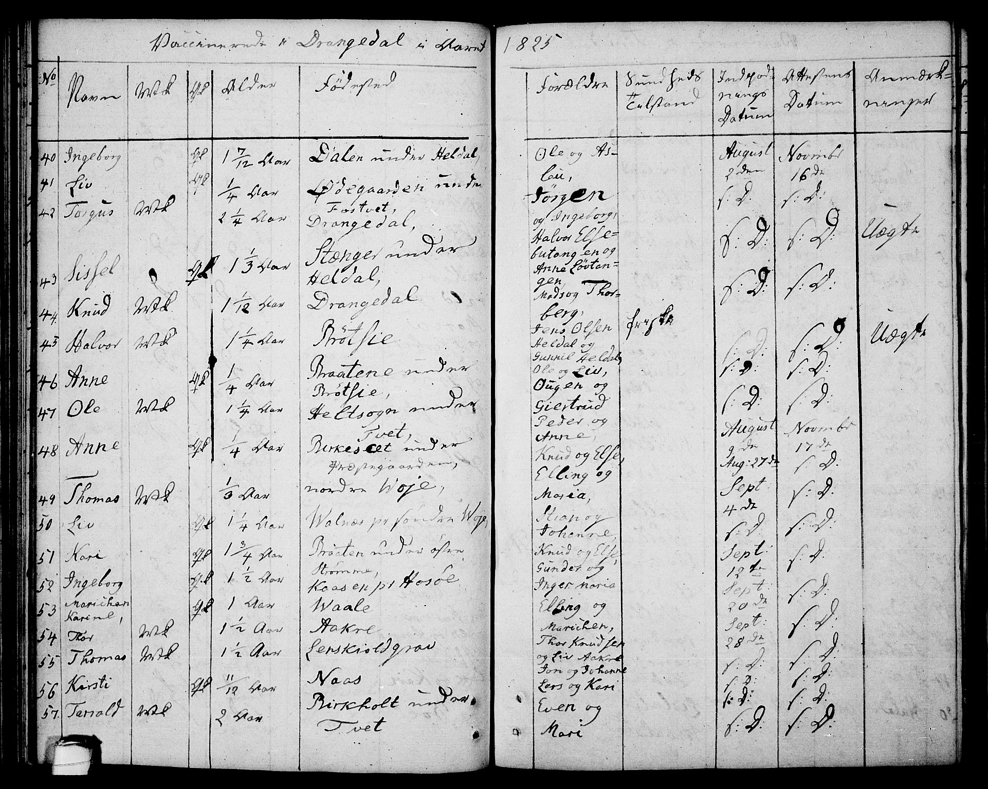 Drangedal kirkebøker, AV/SAKO-A-258/F/Fa/L0004: Parish register (official) no. 4, 1802-1814