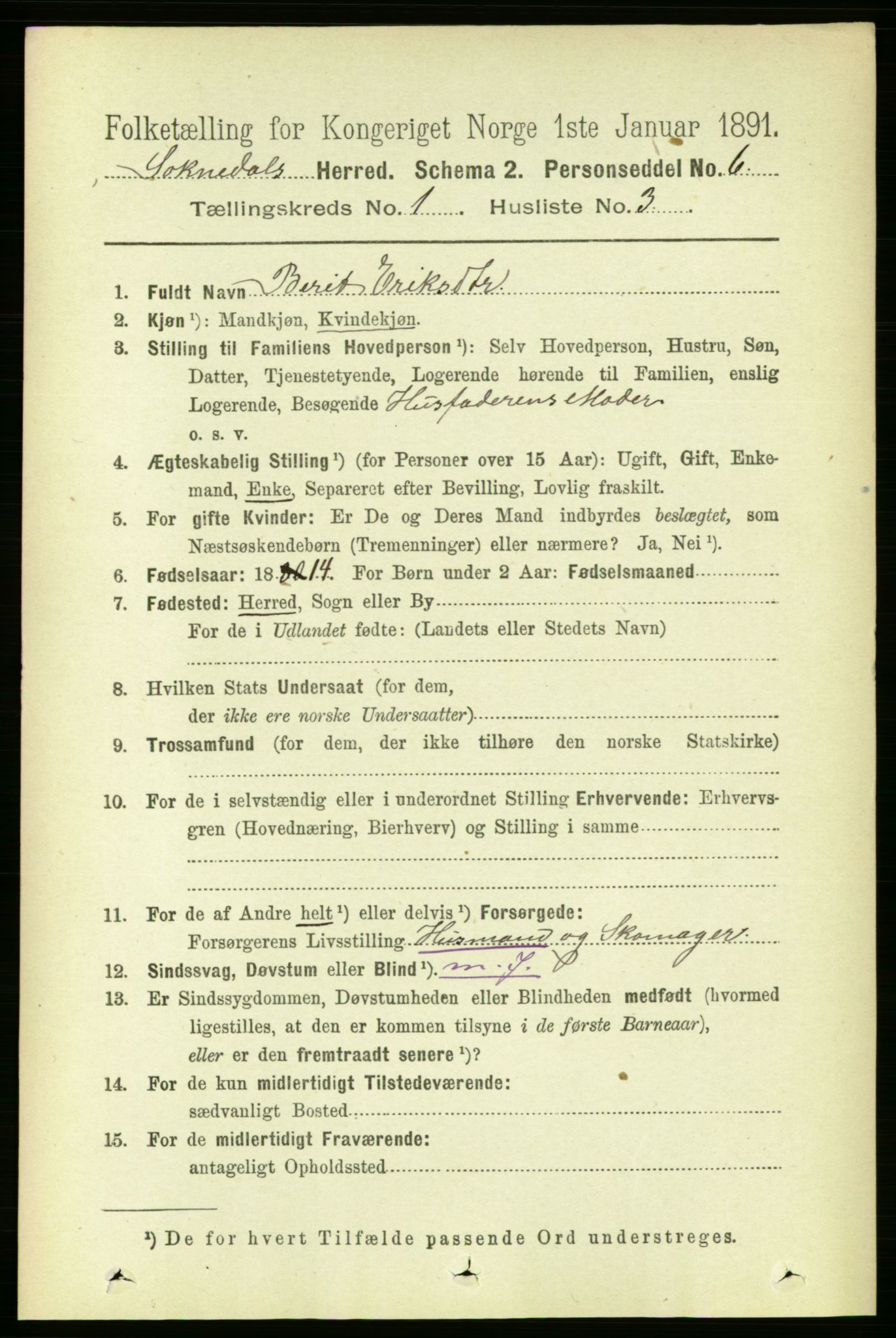 RA, 1891 census for 1649 Soknedal, 1891, p. 91