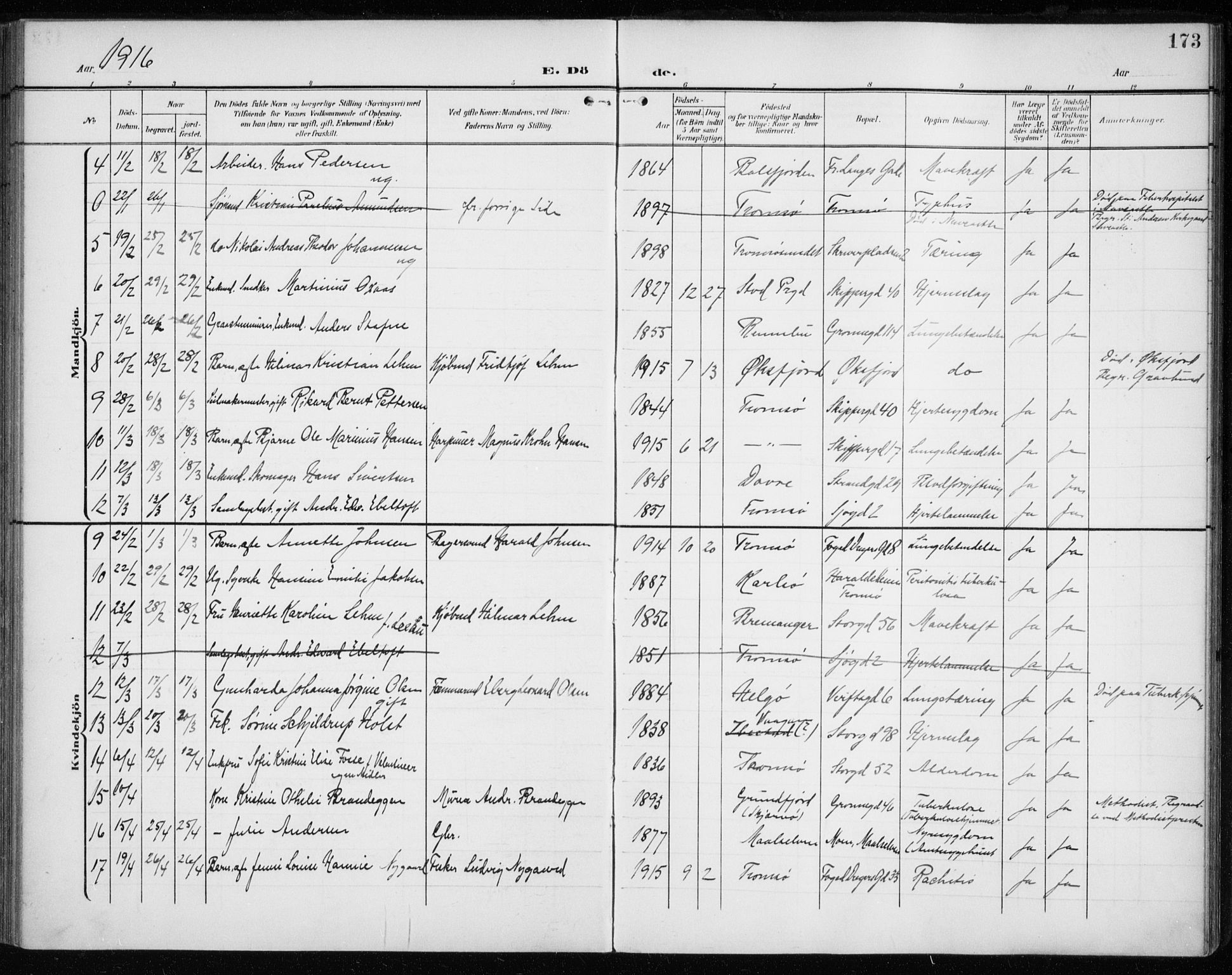 Tromsø sokneprestkontor/stiftsprosti/domprosti, AV/SATØ-S-1343/G/Ga/L0018kirke: Parish register (official) no. 18, 1907-1917, p. 173