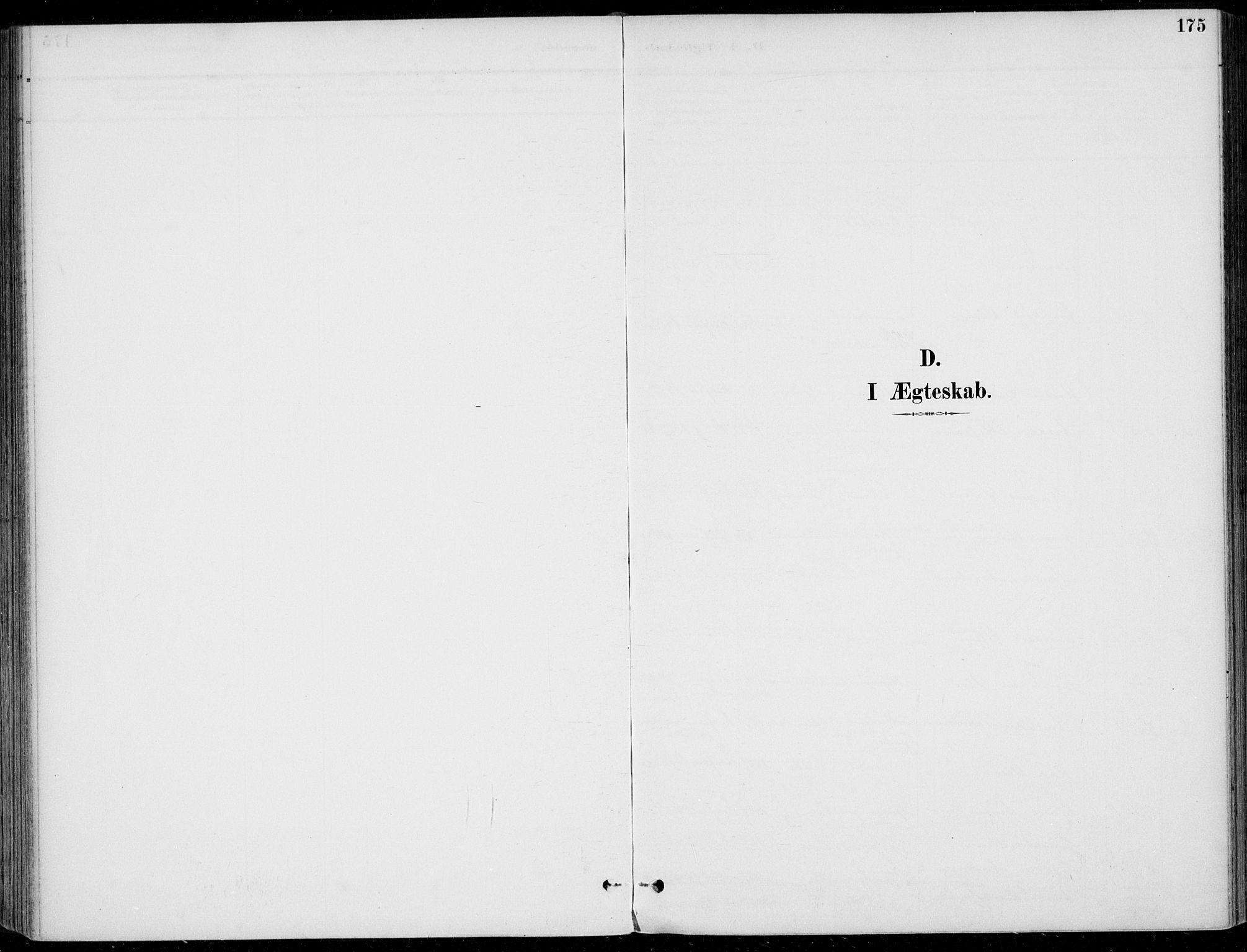 Sigdal kirkebøker, AV/SAKO-A-245/F/Fb/L0001: Parish register (official) no. II 1, 1888-1900, p. 175