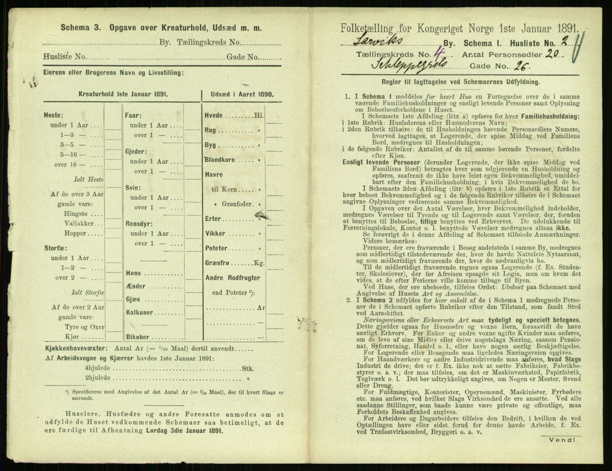 RA, 1891 census for 0707 Larvik, 1891, p. 537