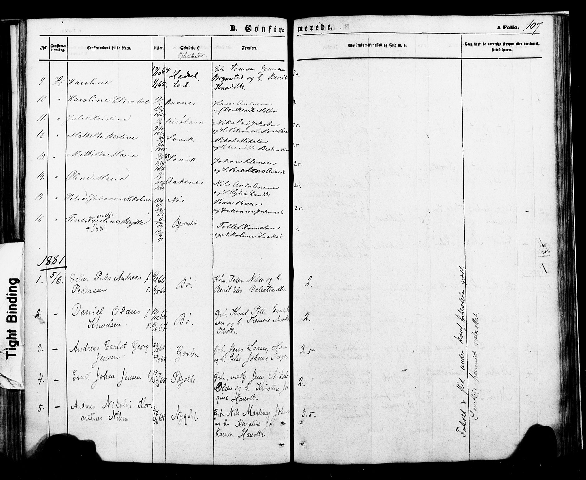 Ministerialprotokoller, klokkerbøker og fødselsregistre - Nordland, AV/SAT-A-1459/898/L1421: Parish register (official) no. 898A01, 1866-1886, p. 107