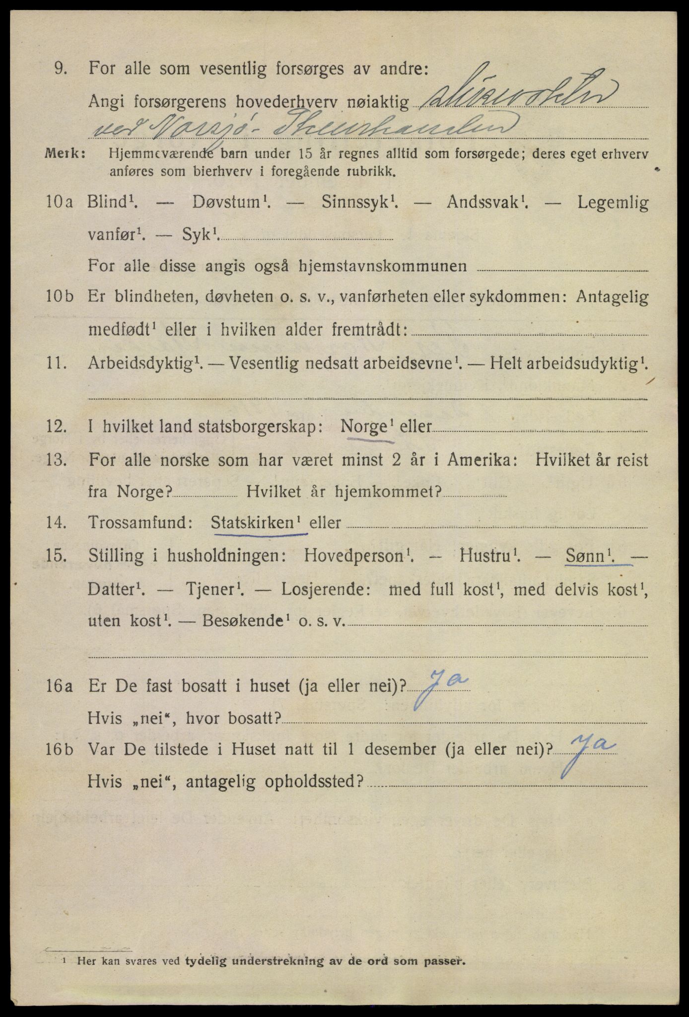 SAKO, 1920 census for Skien, 1920, p. 13525